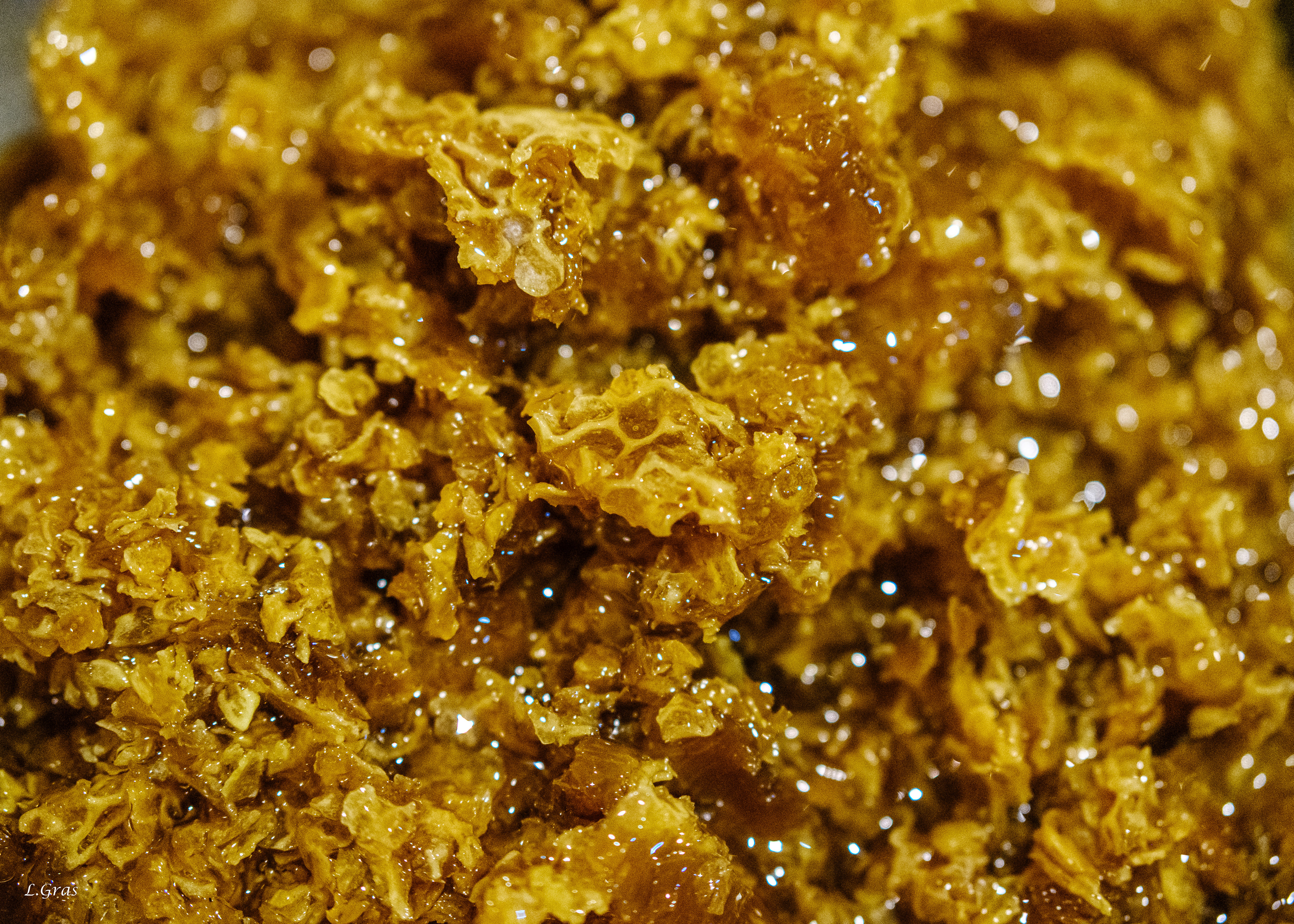 Miel et résidus de cire 