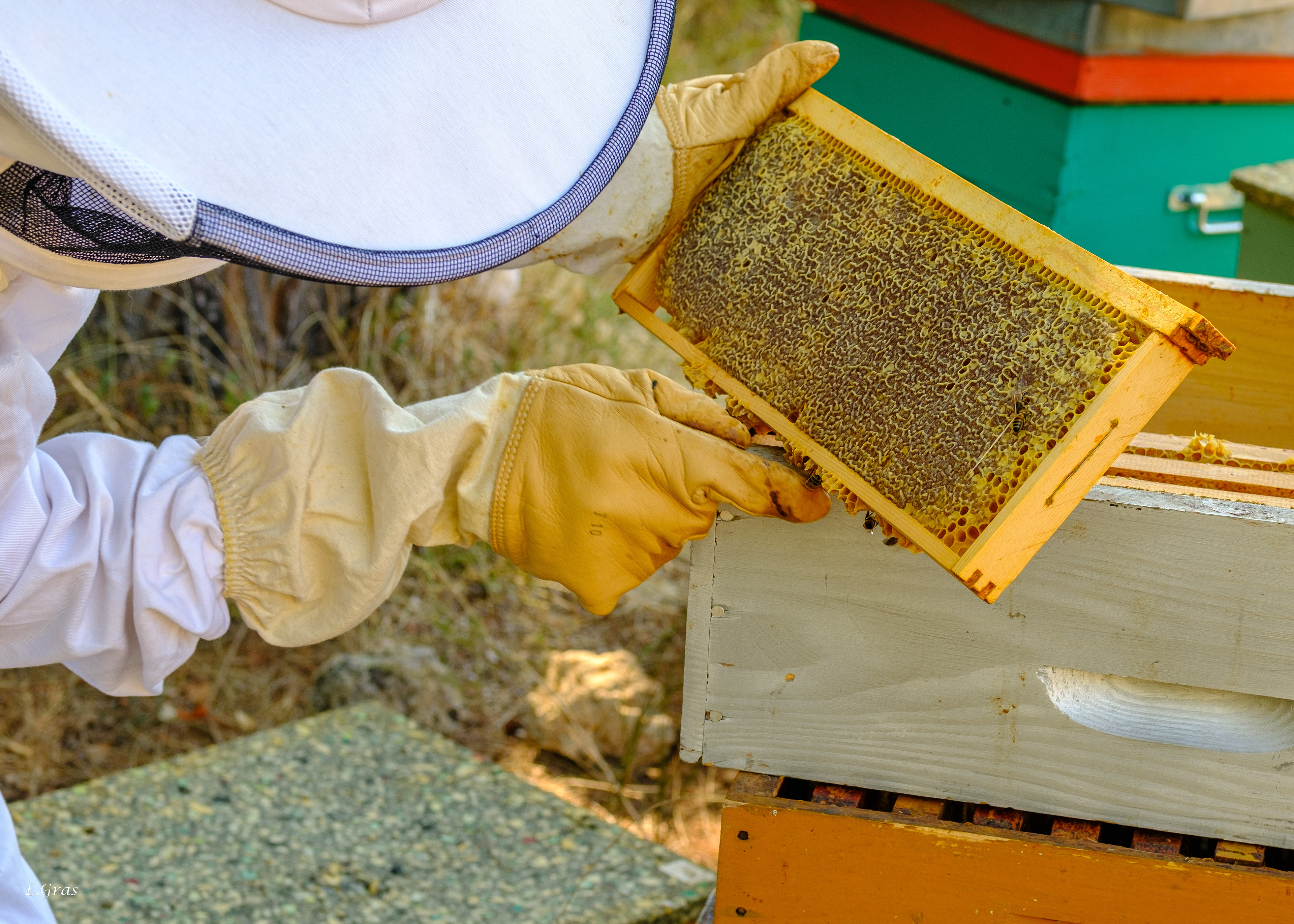 Récupération des cadres pour l'extraction du miel, sans les abeilles!