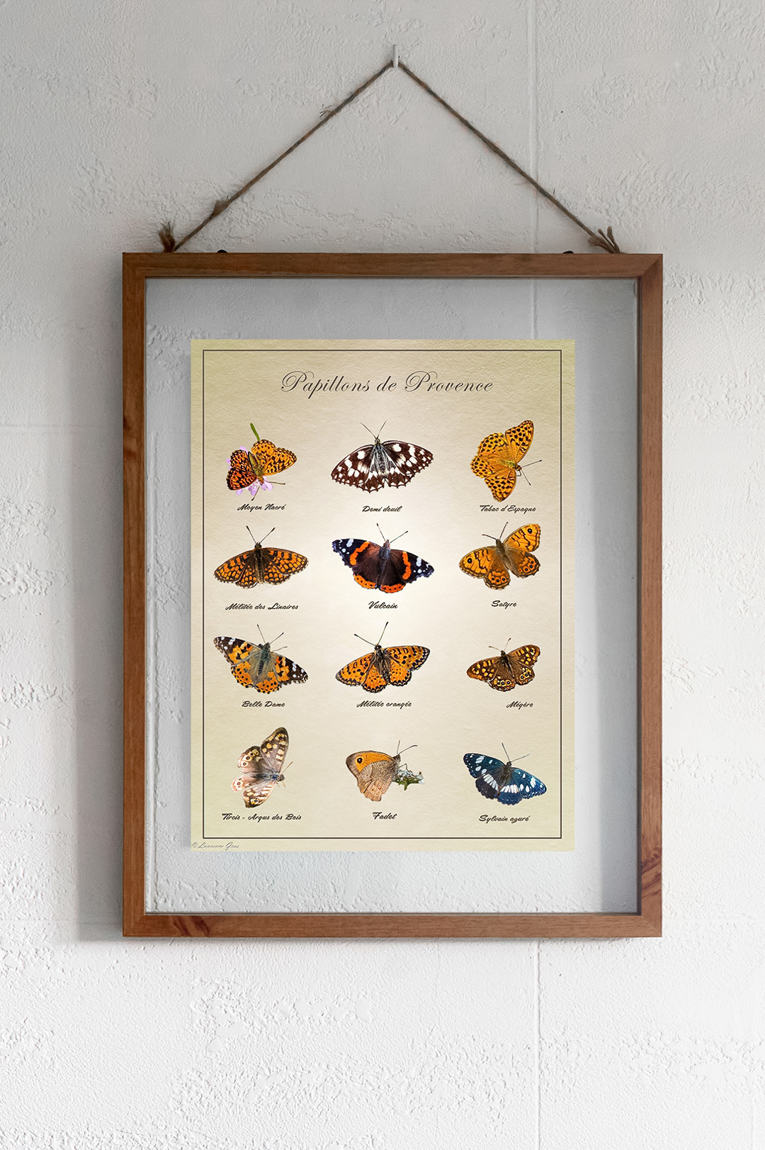 Papillons de France
