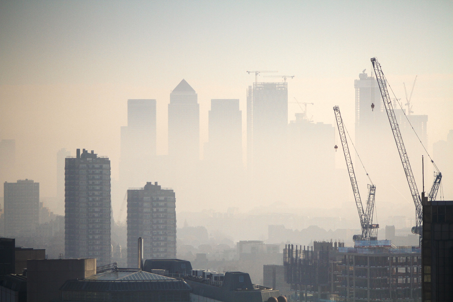 Rising Through the Fog