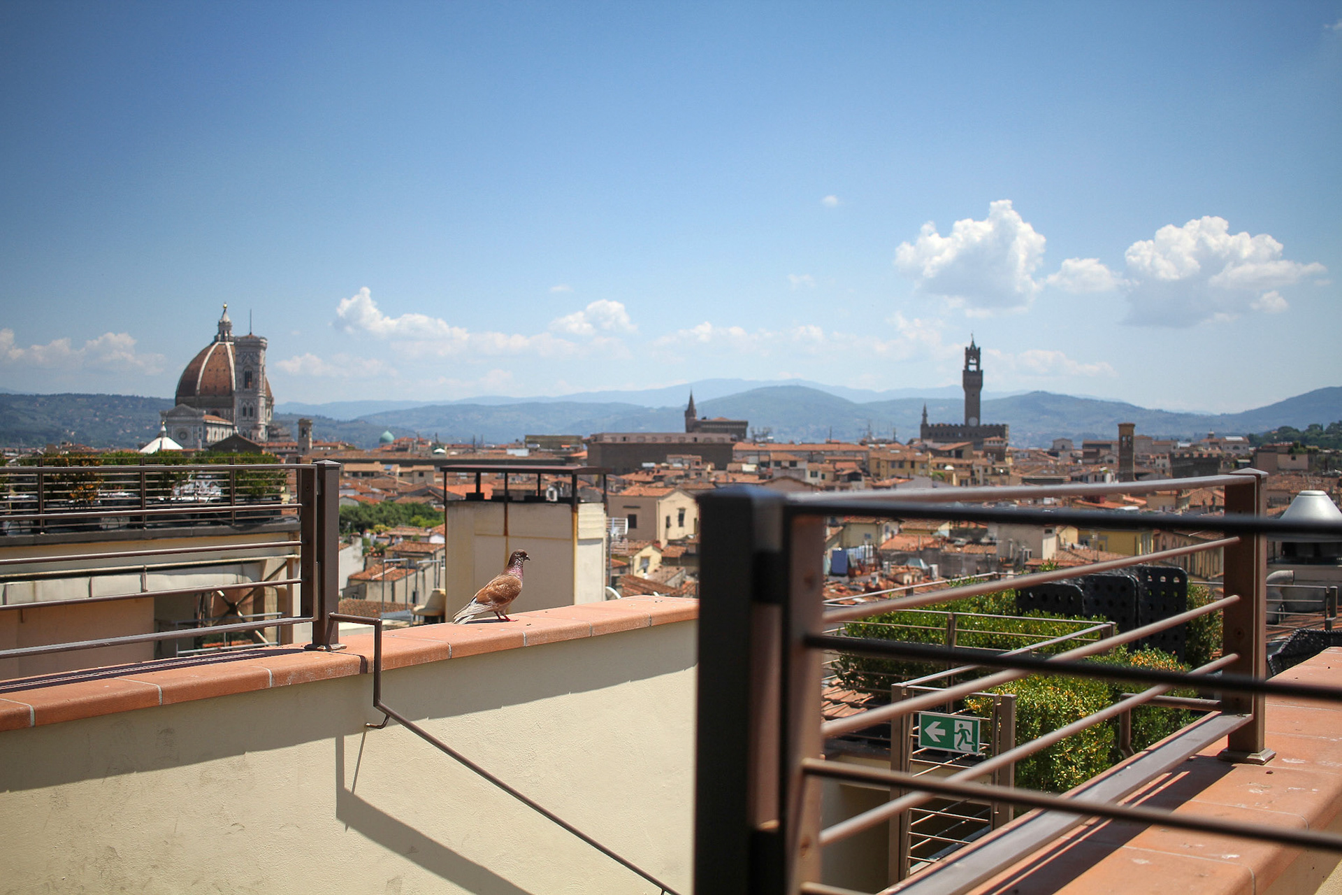 Terracotta Rooftops