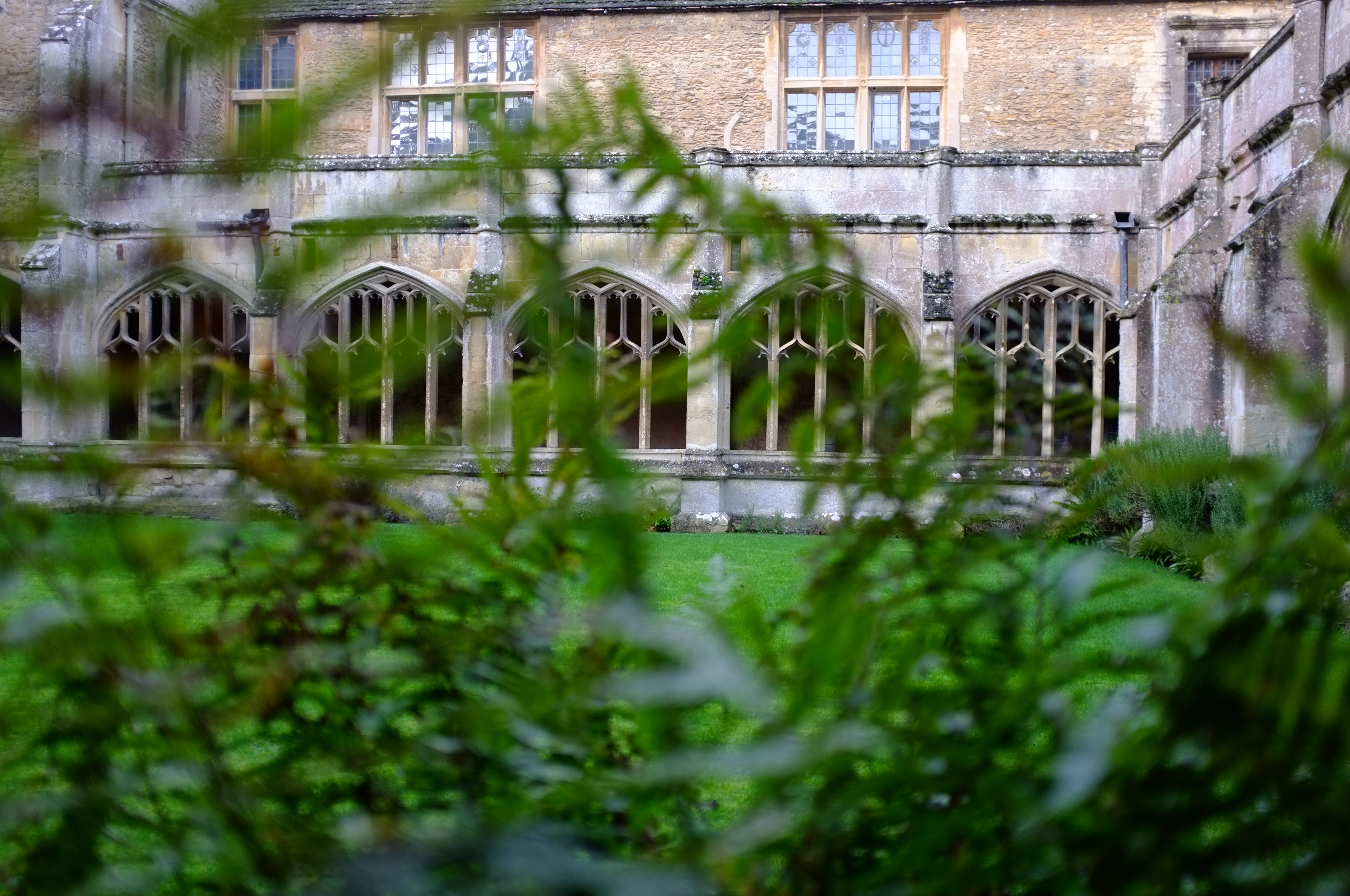 quadrangle in Lacock Abbey
