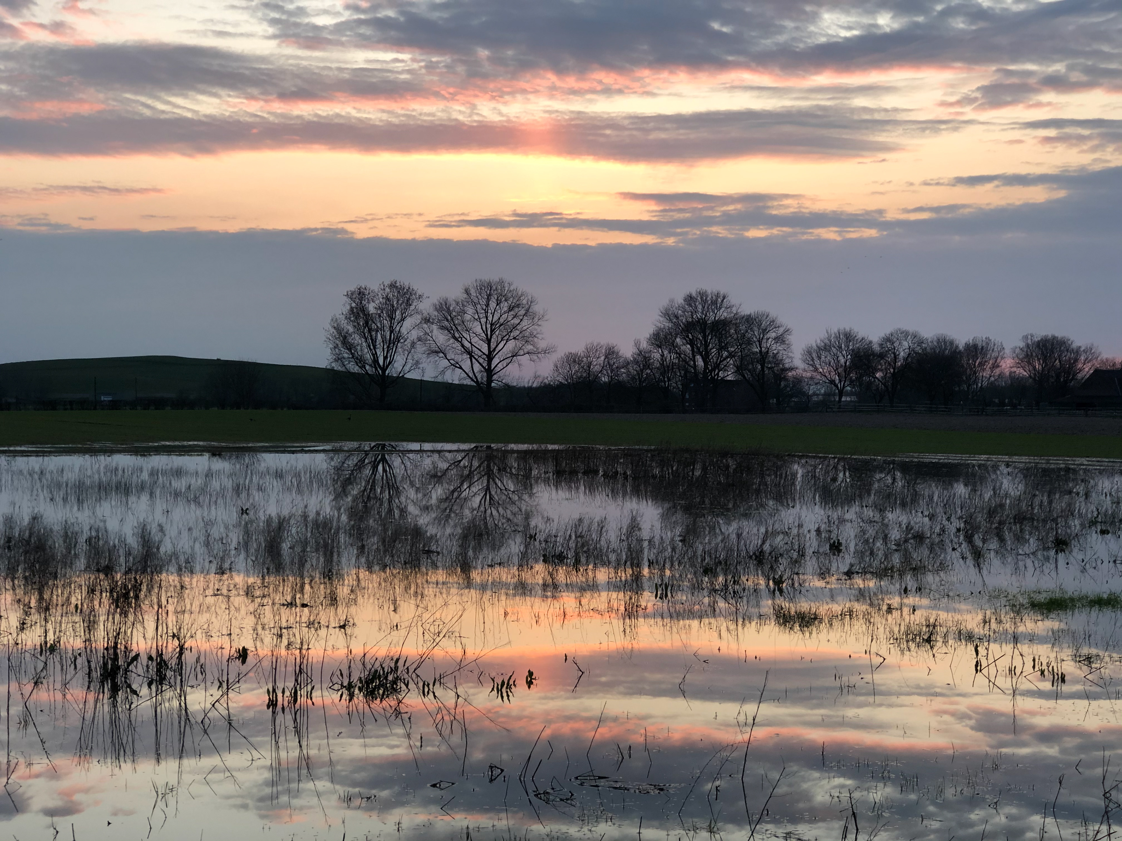 looking over a field with large puddles in which the evening sky is reflected