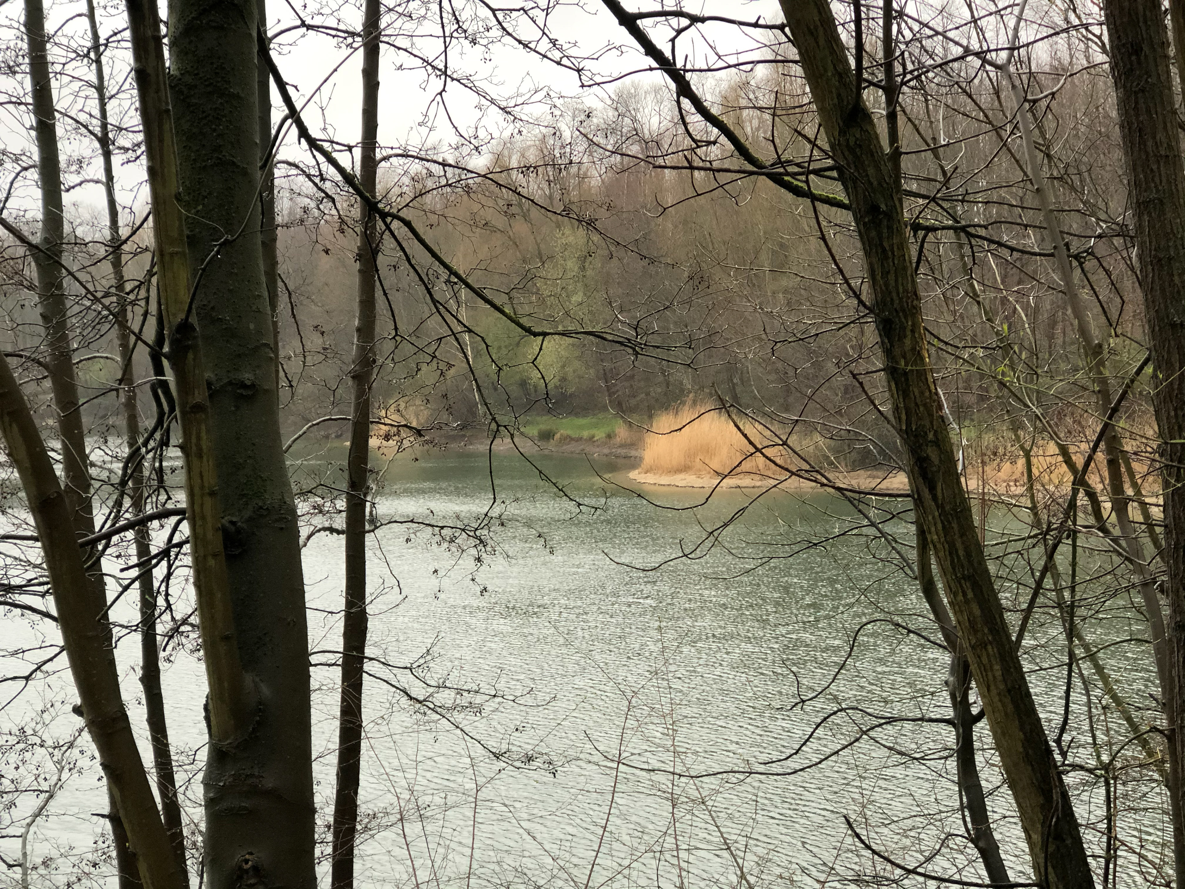 Locking through the trees onto an ex gravel pit in Budberg