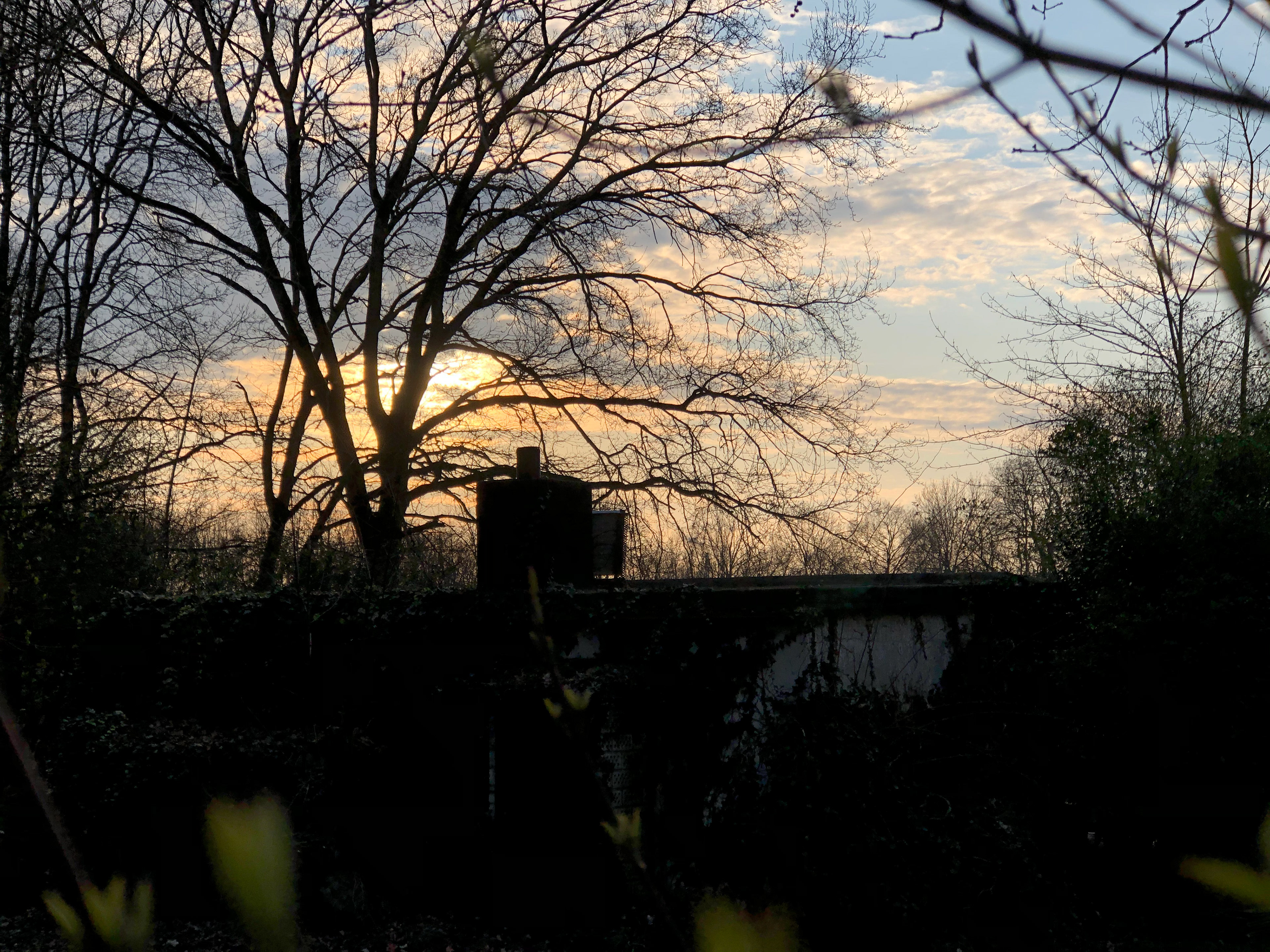 evening mood with clouds and sun