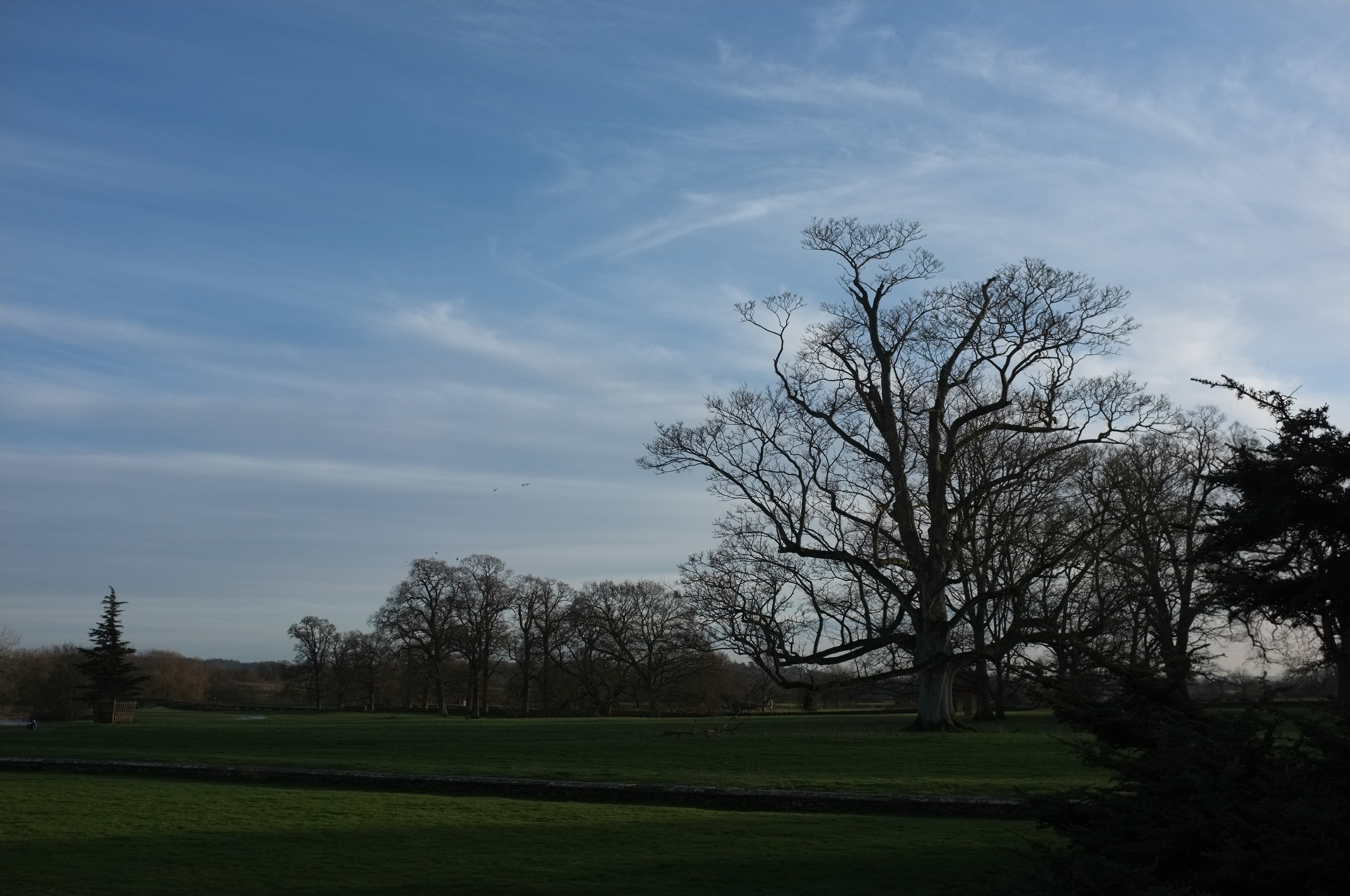 view across Lacock Abbey grounds