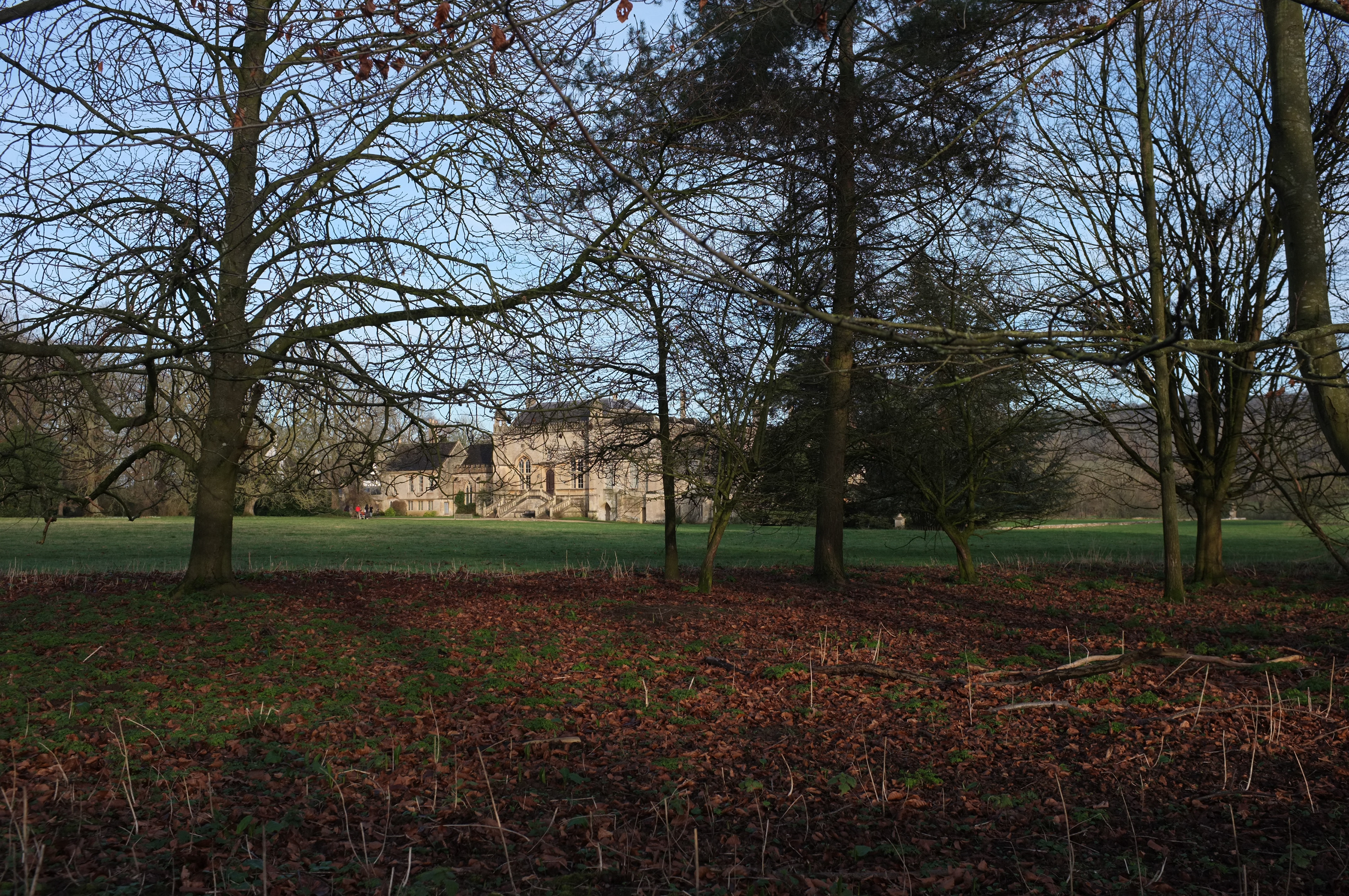 Lacock Abbey through the trees