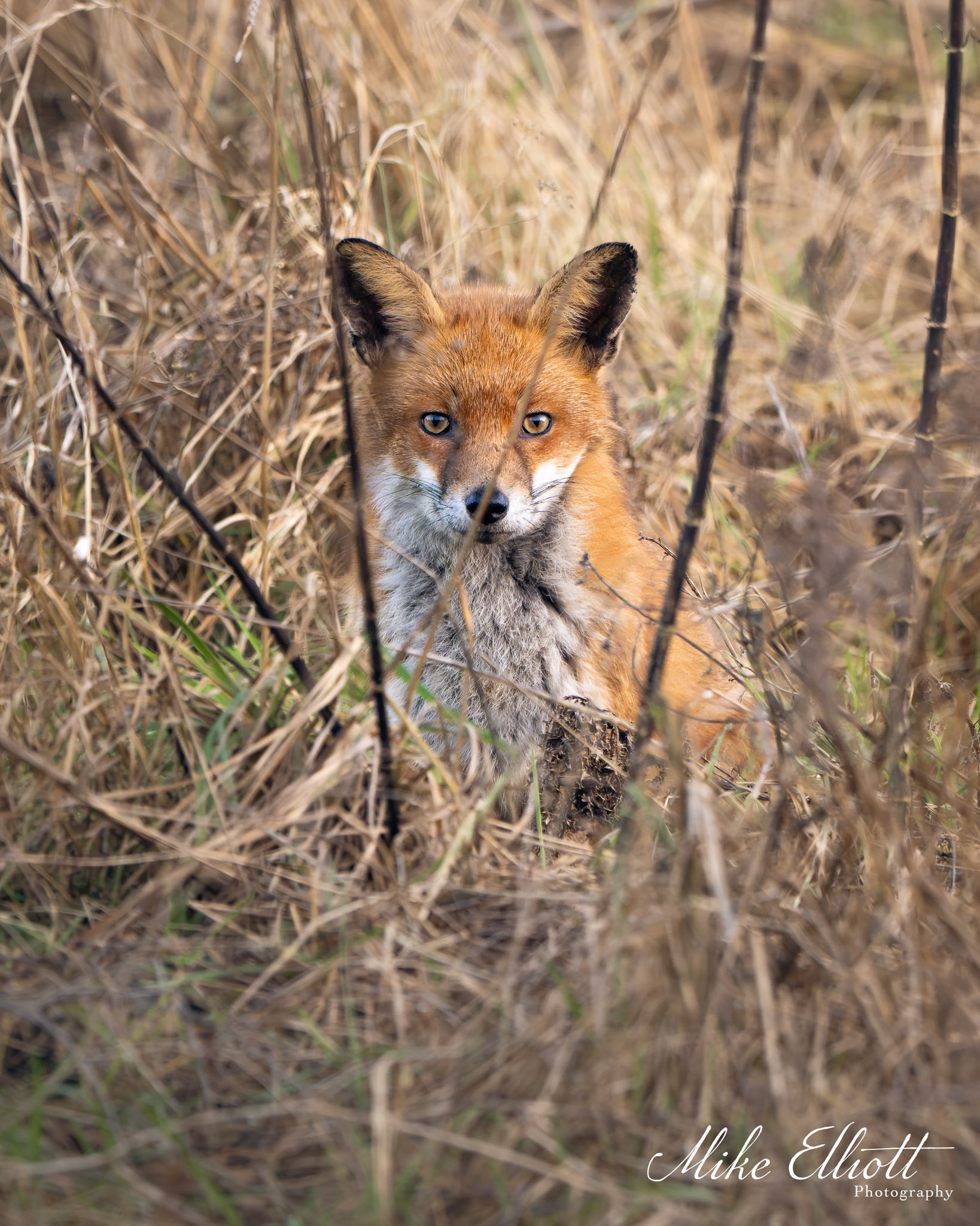 _DSC4505-Enhanced-NR_1920x2400_U_100_WebHR - Portrait