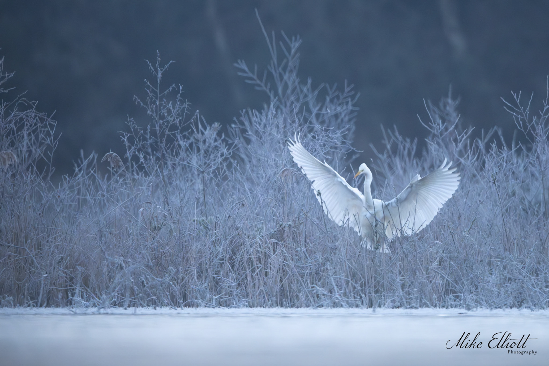 _DSC7121_Fixed Width_2400x1600_U_100
