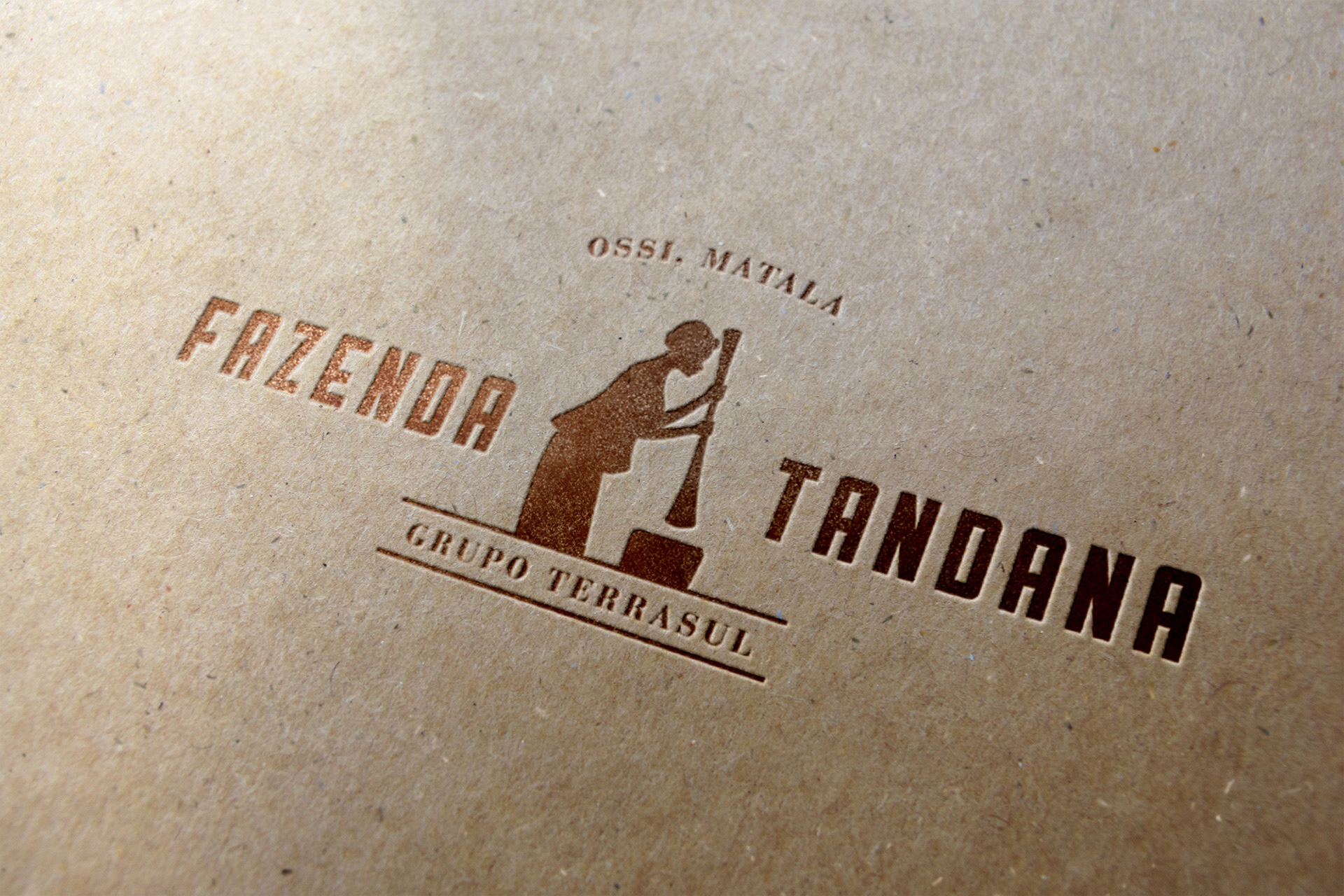 Long Play Brand Design - FAZENDA TANDANA