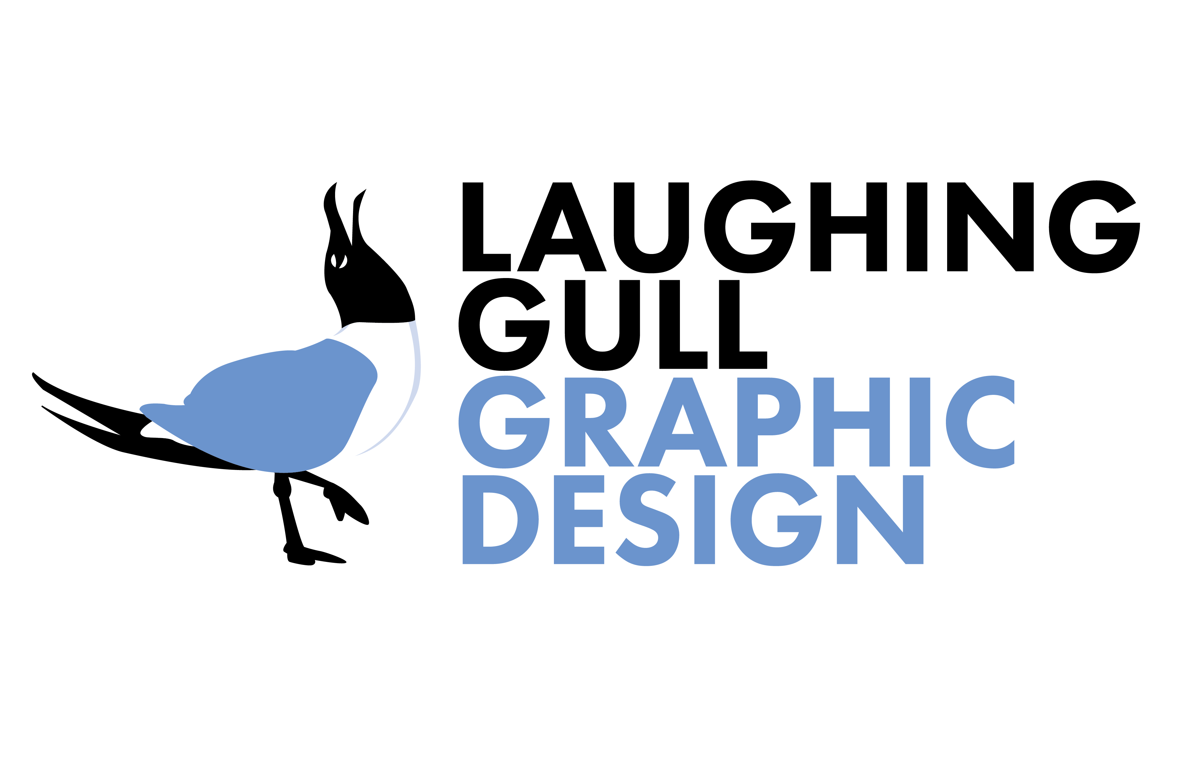 Laughing Gull Graphic Design