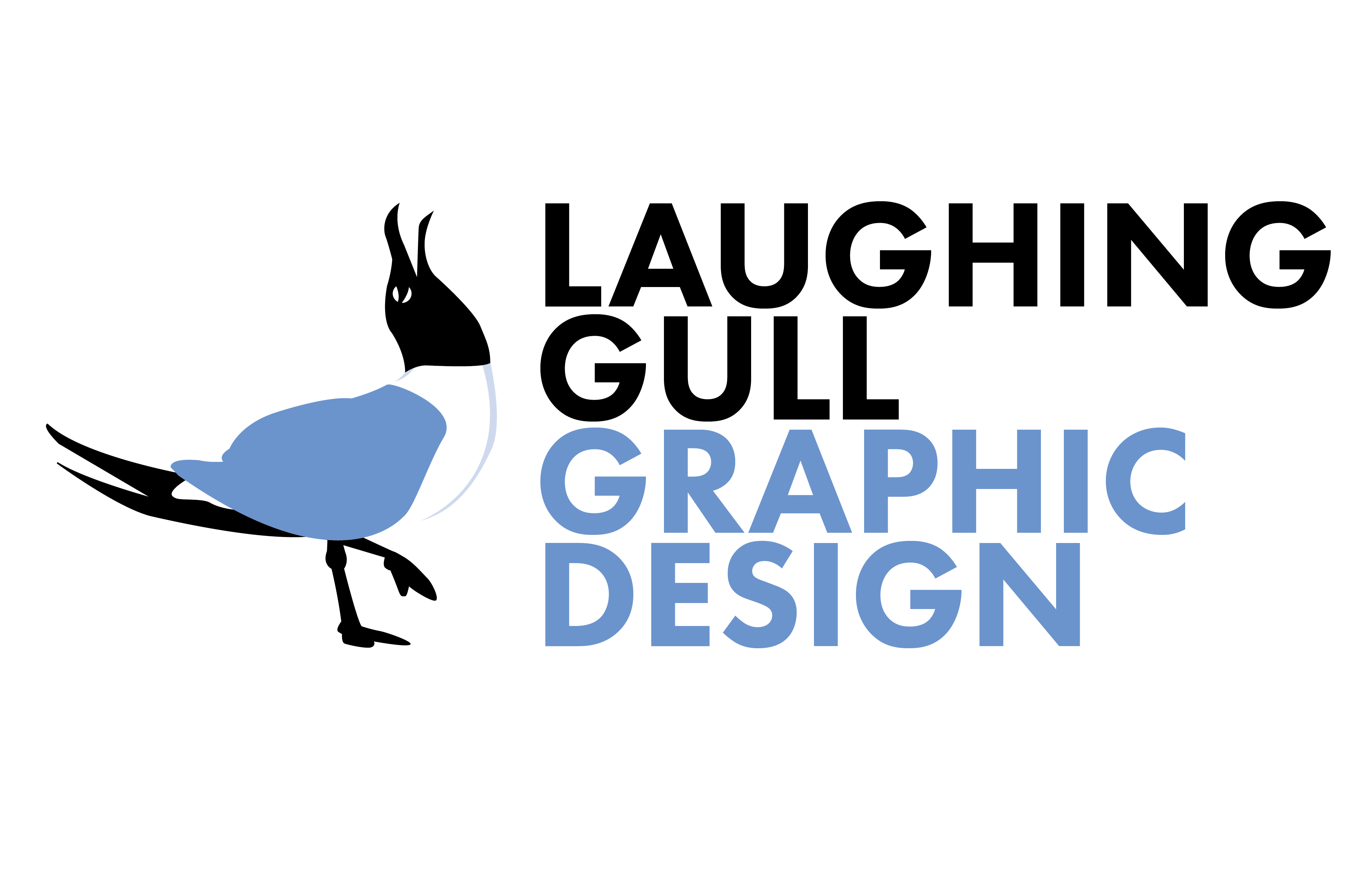 Laughing Gull Graphic Design