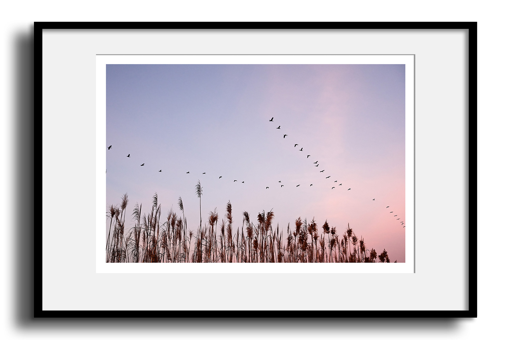fine art prints - colour collection