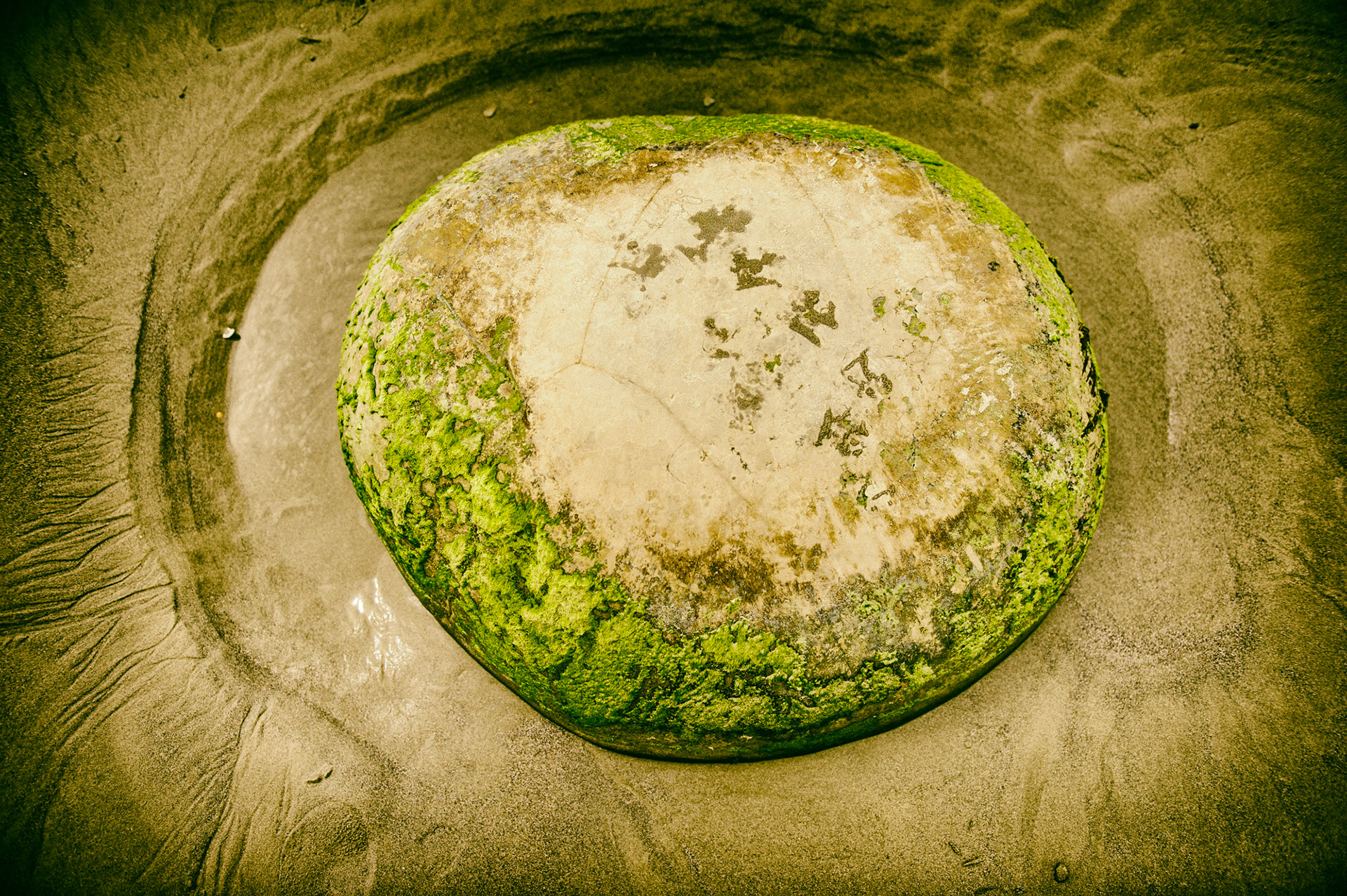 Moeraki Boulder, Otago