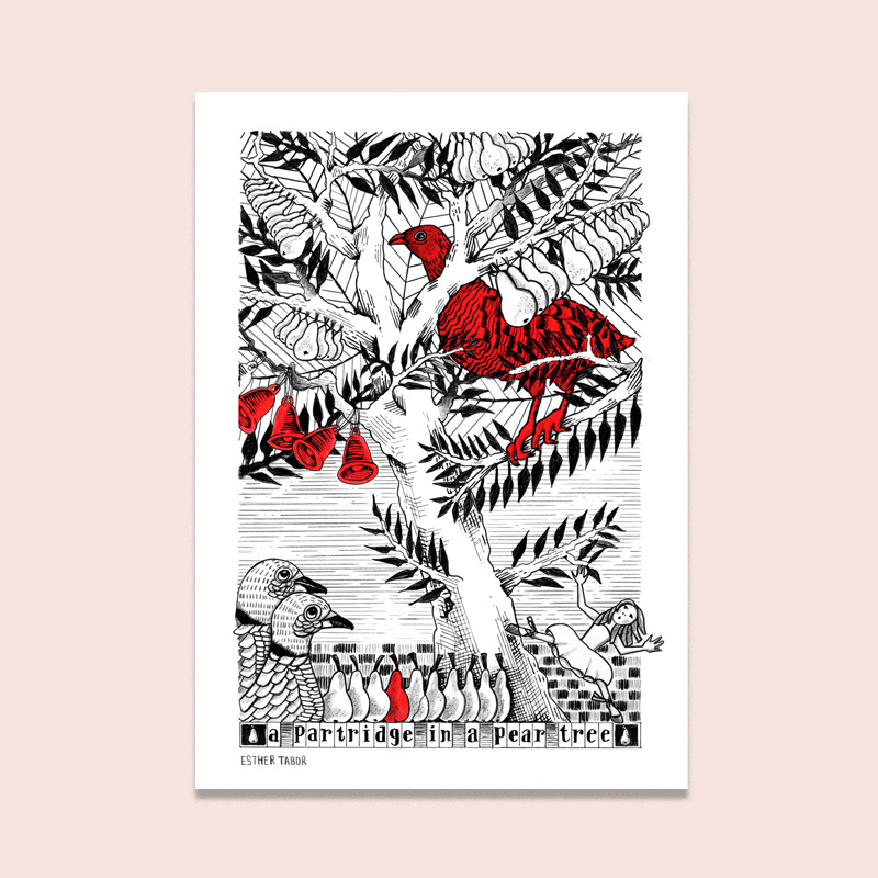 Black and white illustration of a partridge in a pear tree by Esther Tabor