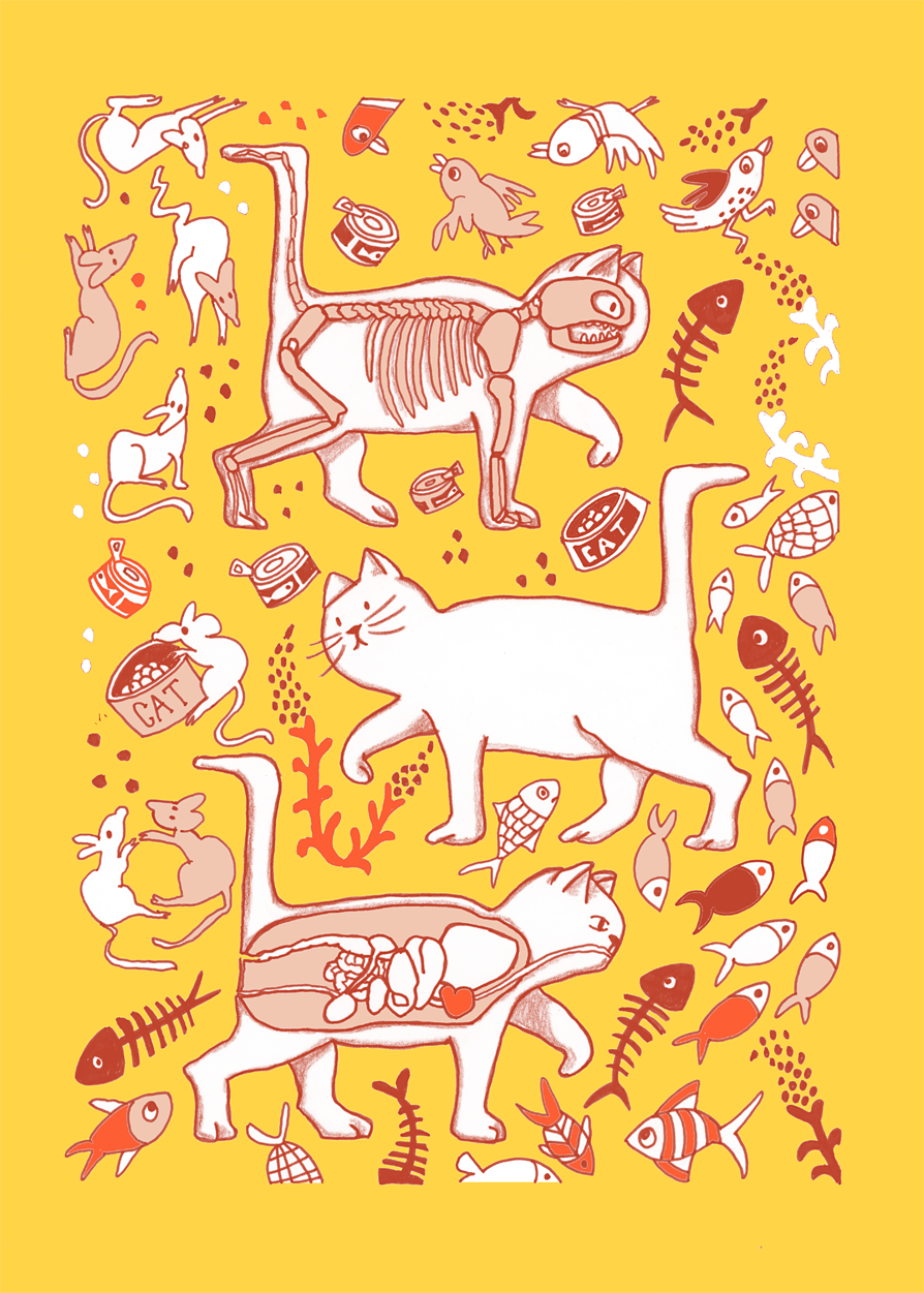 colourful and comical illustration of the anatomy of cats and their food