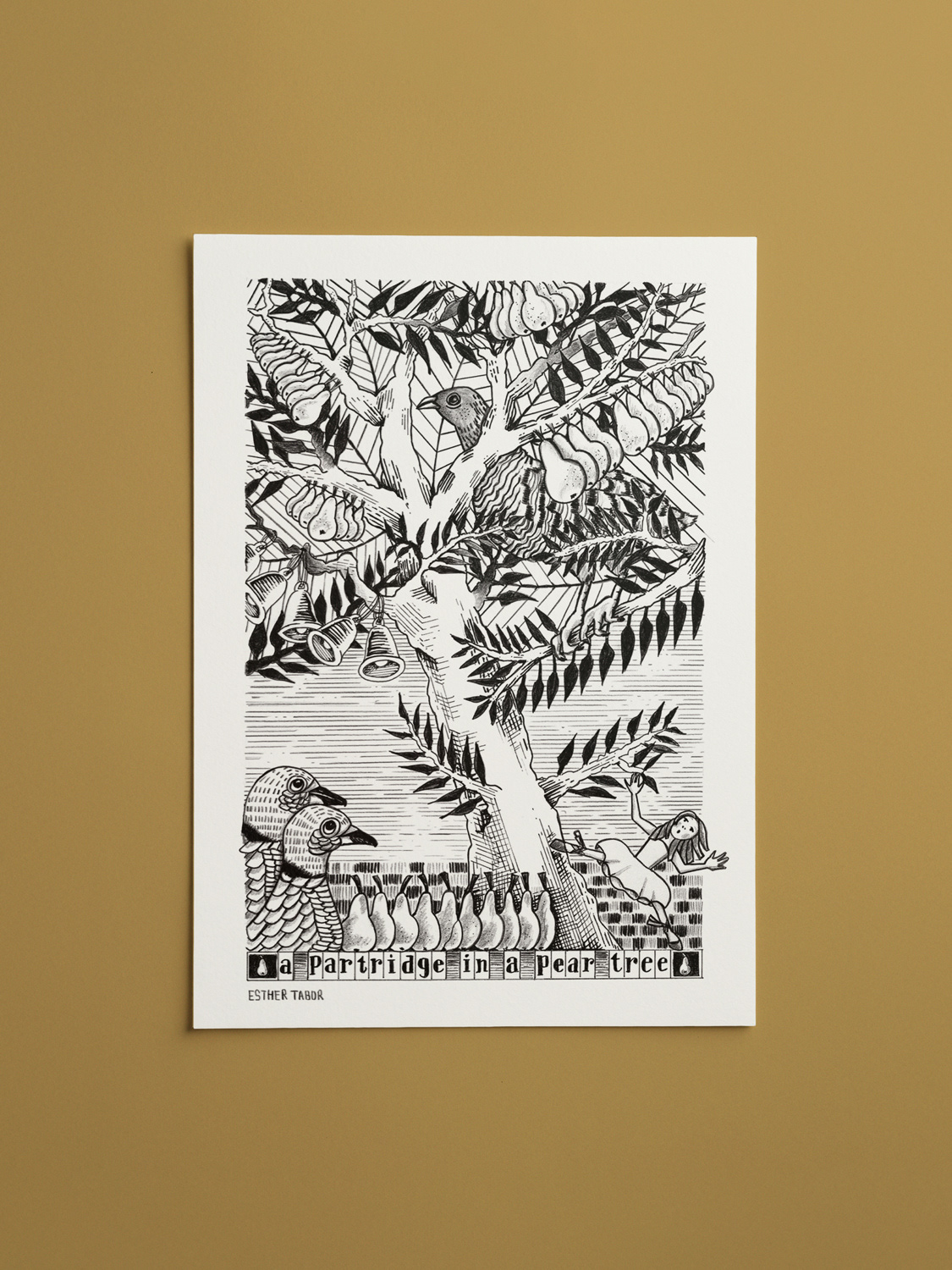 A Partridge in a Pear Tree original drawing - A4 ink and pencil on paper