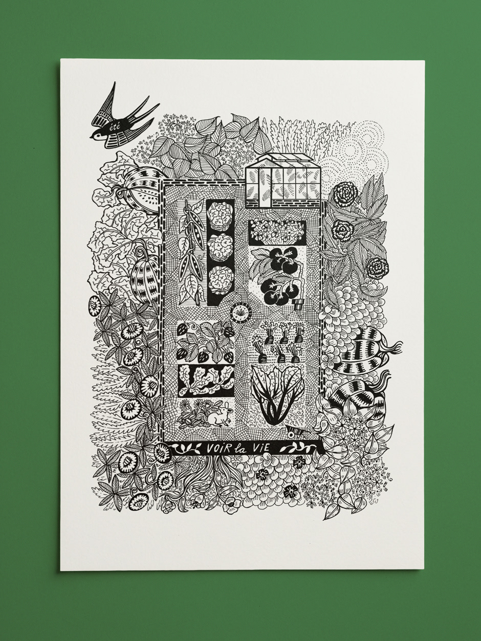 Summer Garden Original Drawing -  A3 original illustration  in black ink 250 gsm ClaireFontaine paper