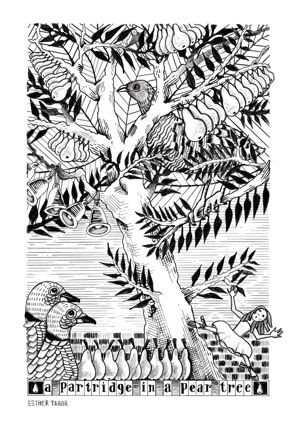 illustration in black and white of a partridge in a pear tree