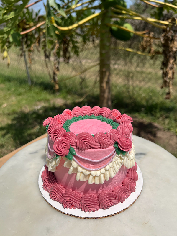 Pink cake with cream piped swags