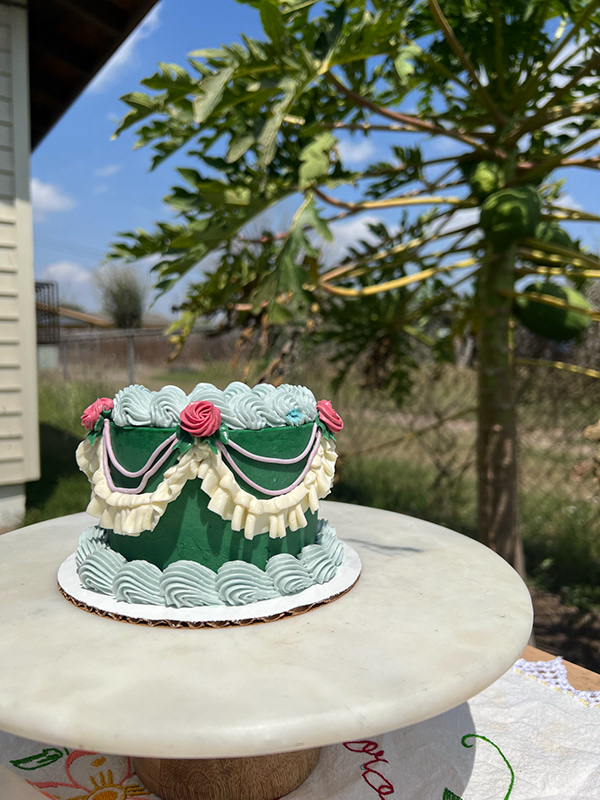 Green cake with cream draped piping and pastel borders