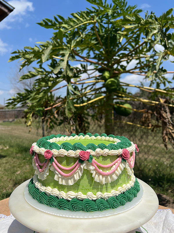 Green and pink cake with decorative draped piping