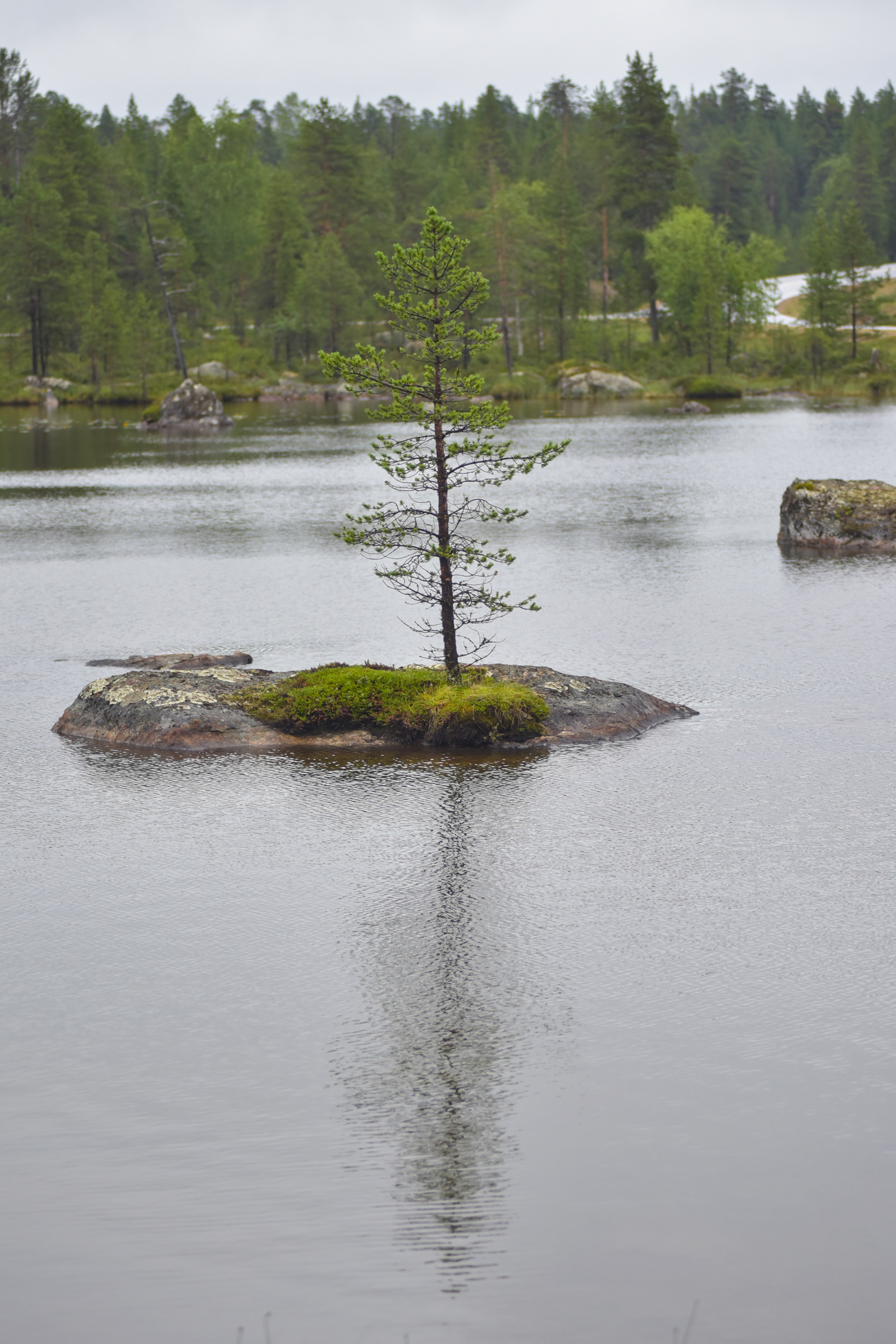 Inari, Lappland, Finland.