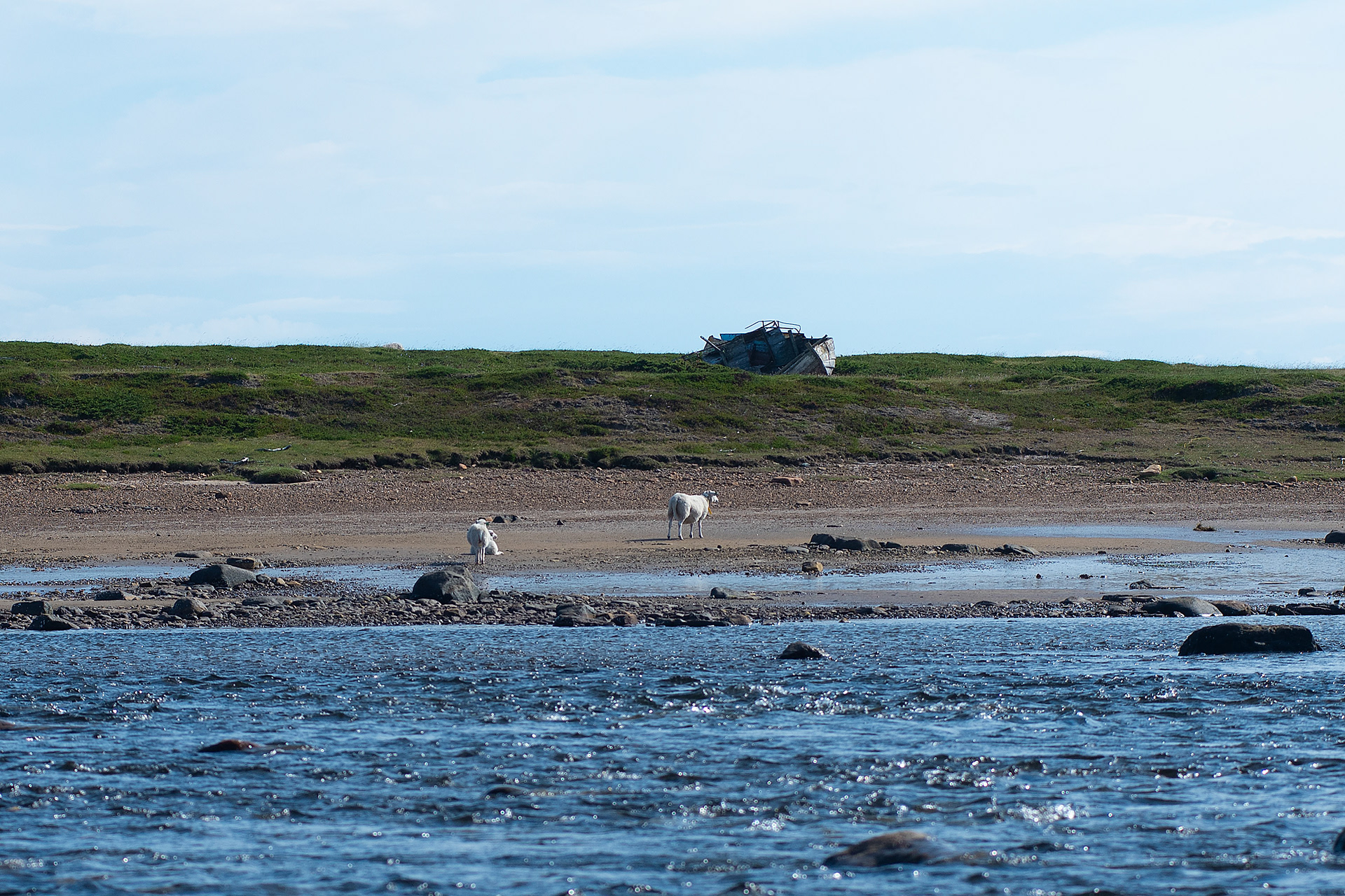 Finnmark, Varangebotn, Norge.