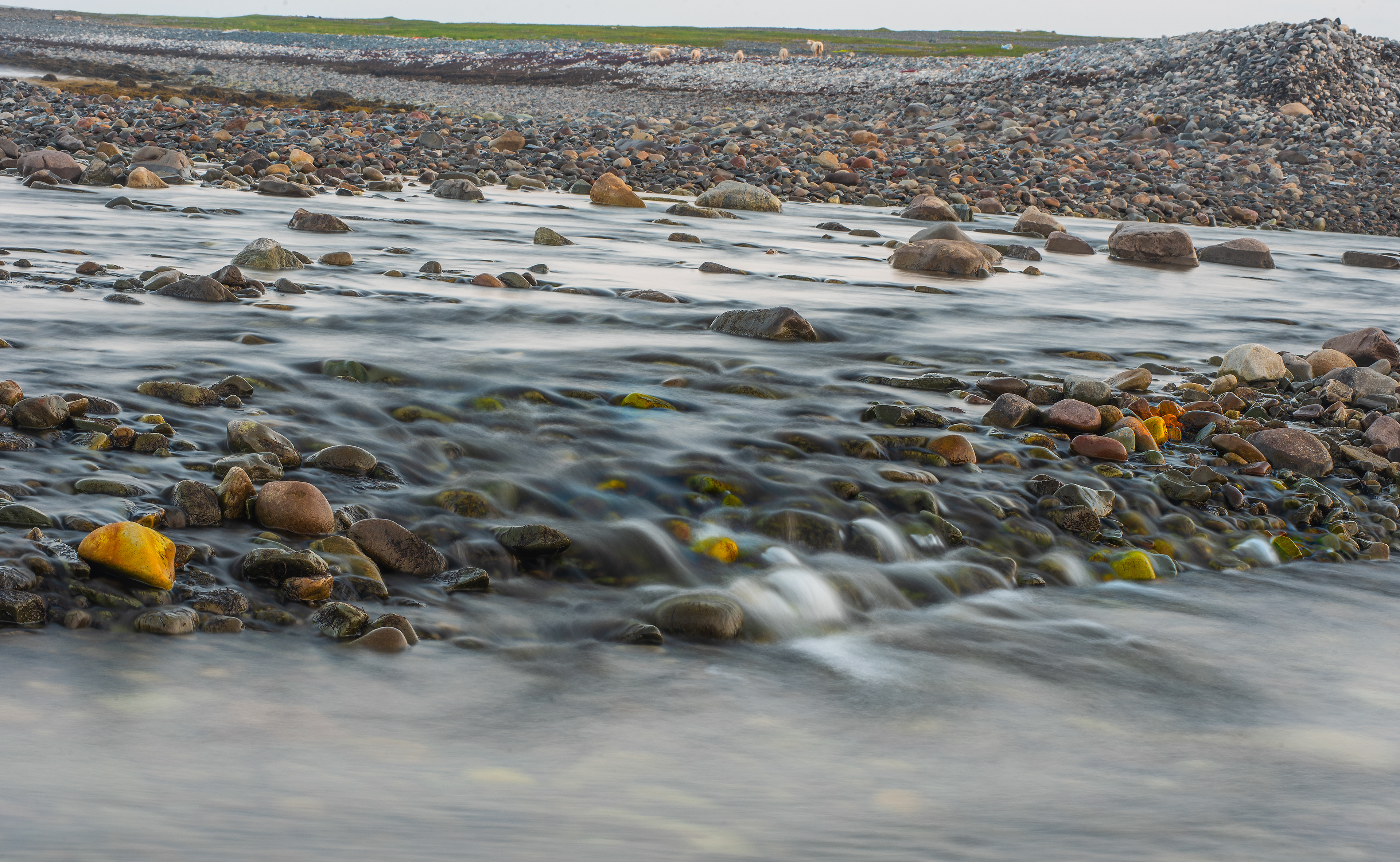 Finnmark, Varangebotn, Norge.