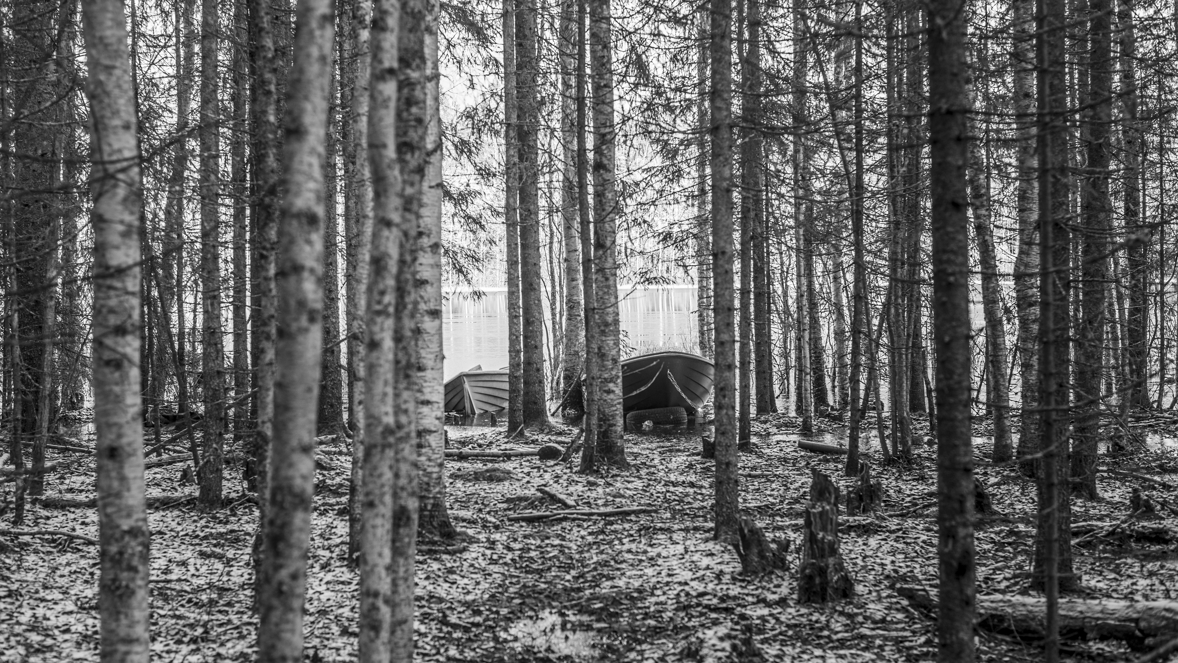 Vähäjärven luonnonsuojelualue, Oulainen, Finland.