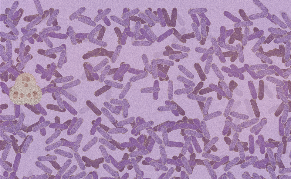 Featured in BloodWork,