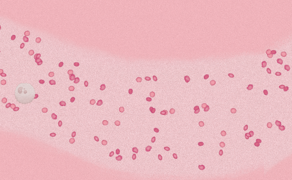 Featured in BloodWork