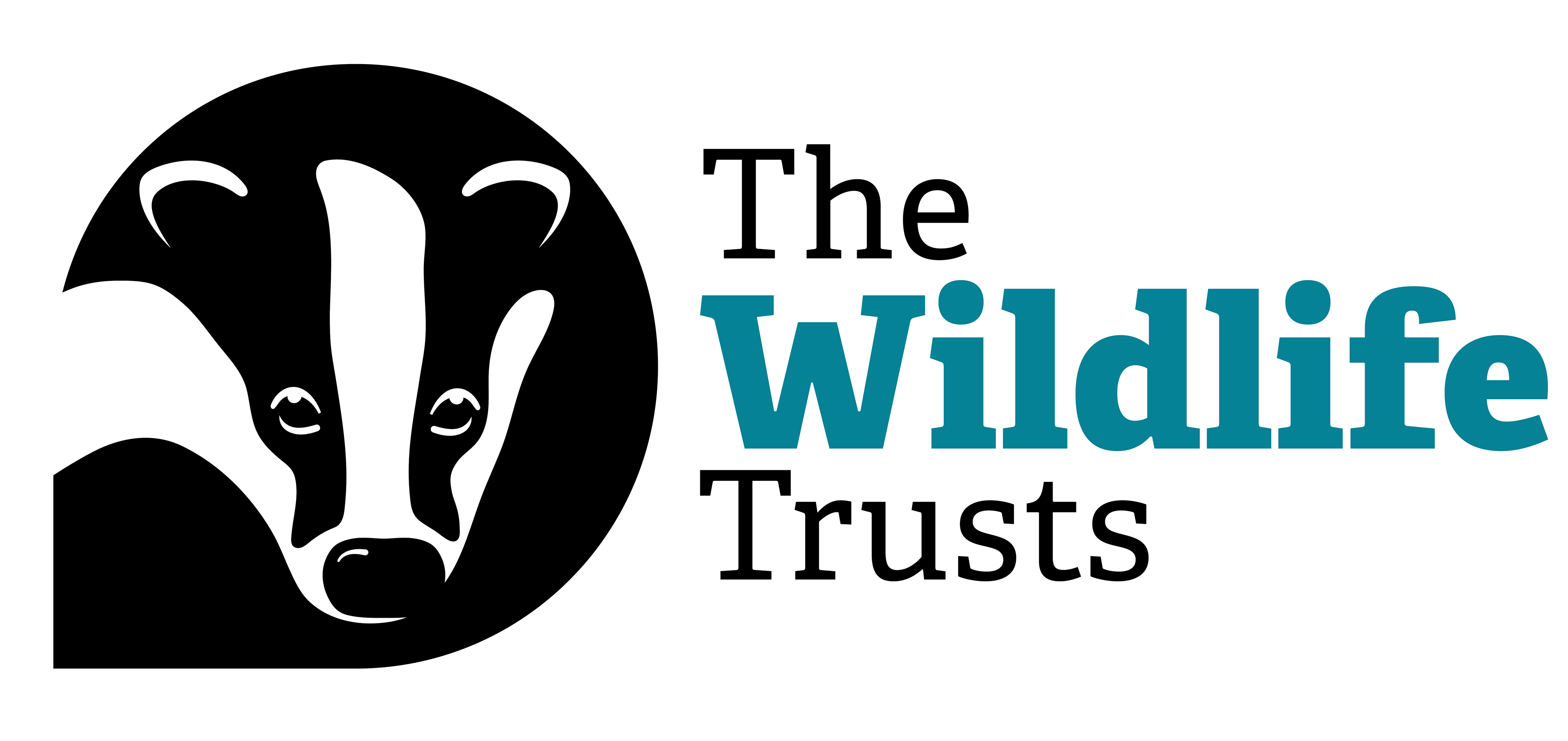 I produced a short nature documentary for The Lancashire Wildlife Trust in 2022.