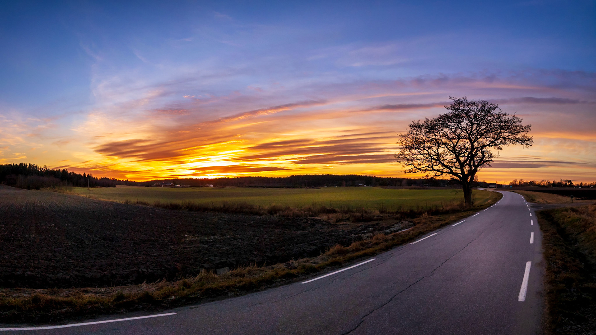 Elindveien, FrStad Nov-16