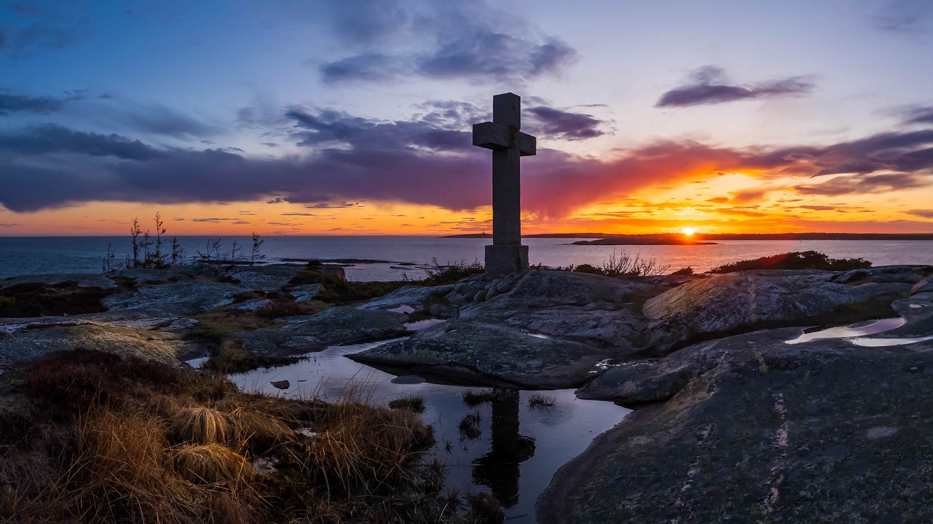 Rødshuet Apr-18