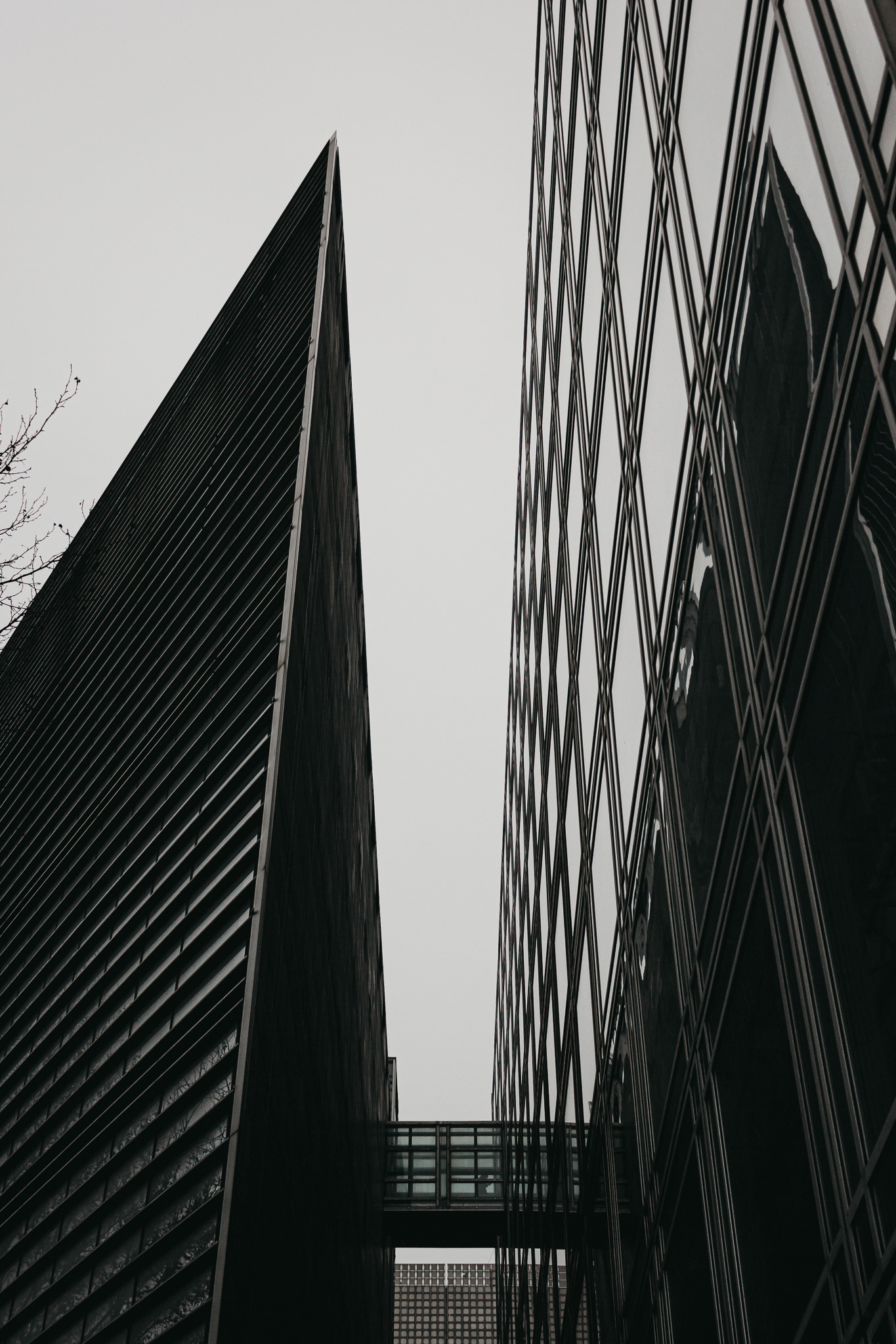 Institut du Monde Arabe