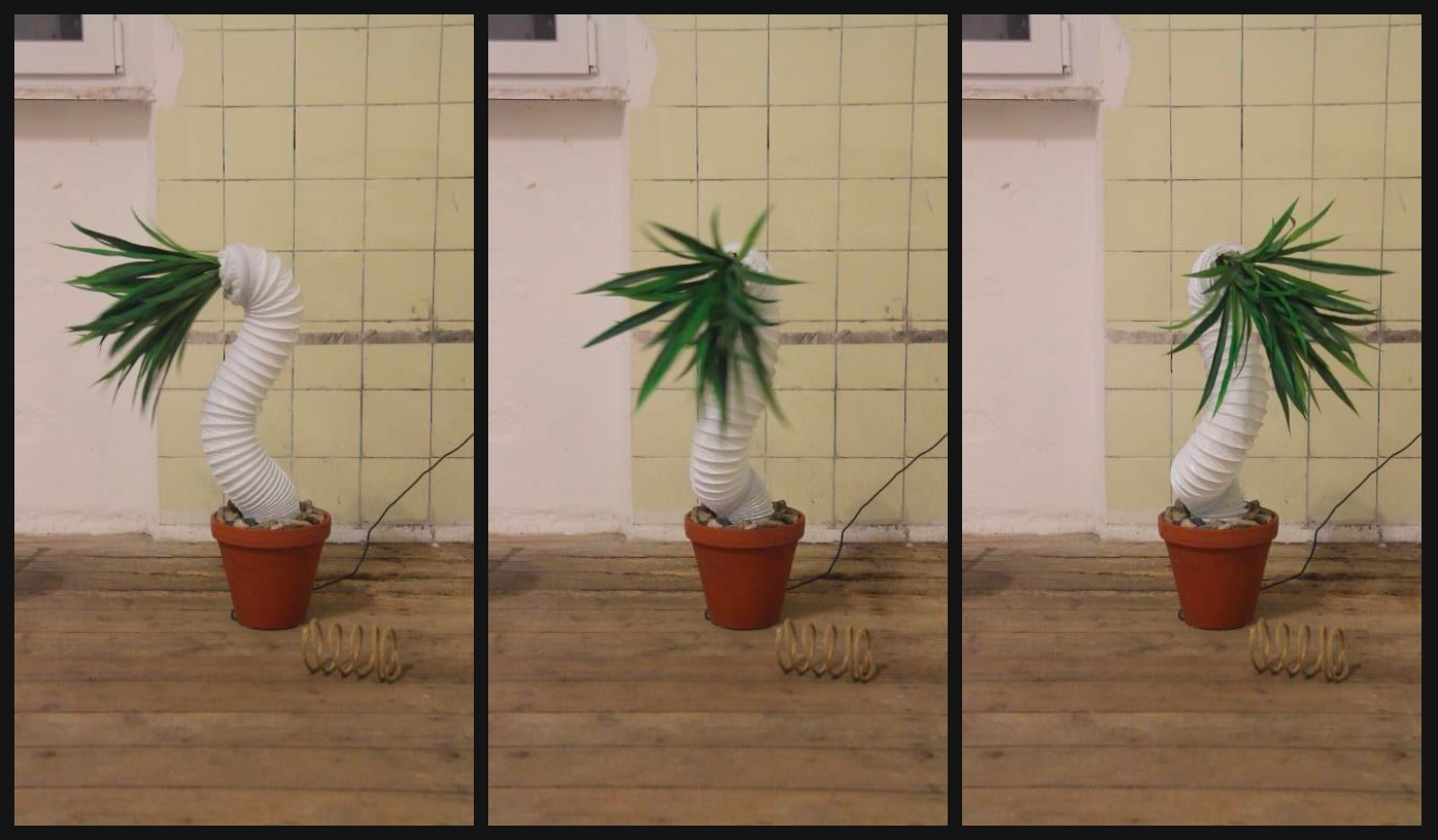 Das Ziel der Reise "Der Baum", 2019, Kinetic, YAE IN KIM