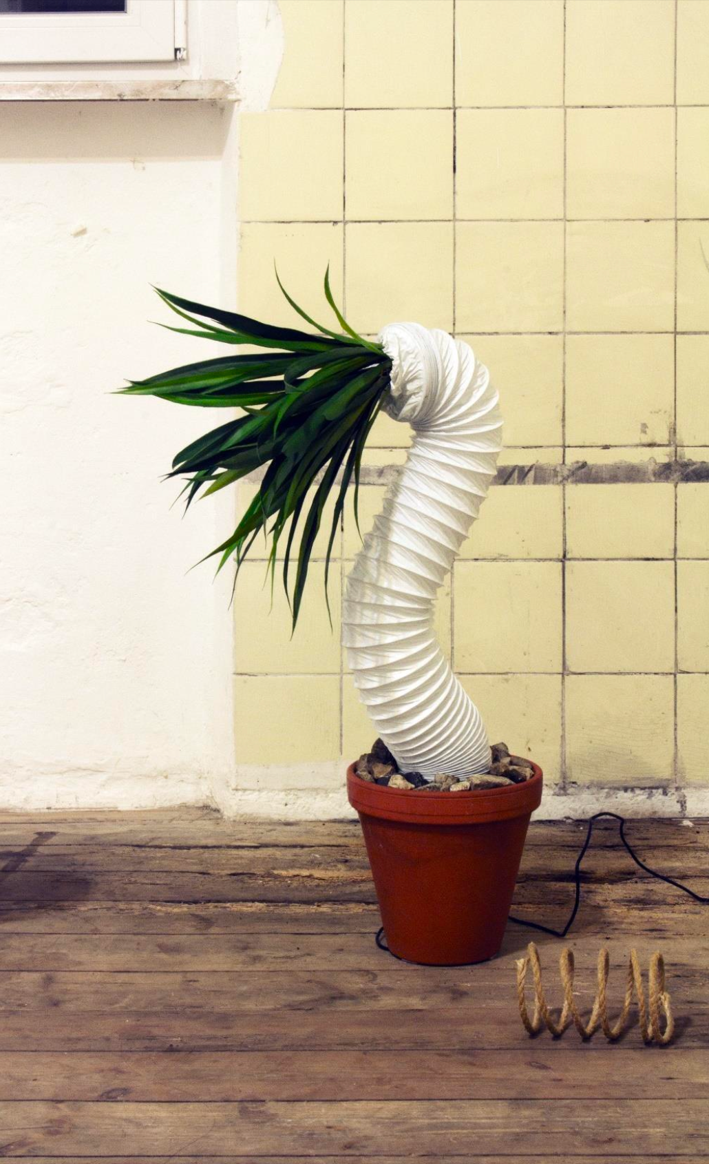 Das Ziel der Reise "Der Baum", 2019, Kinetic, YAE IN KIM