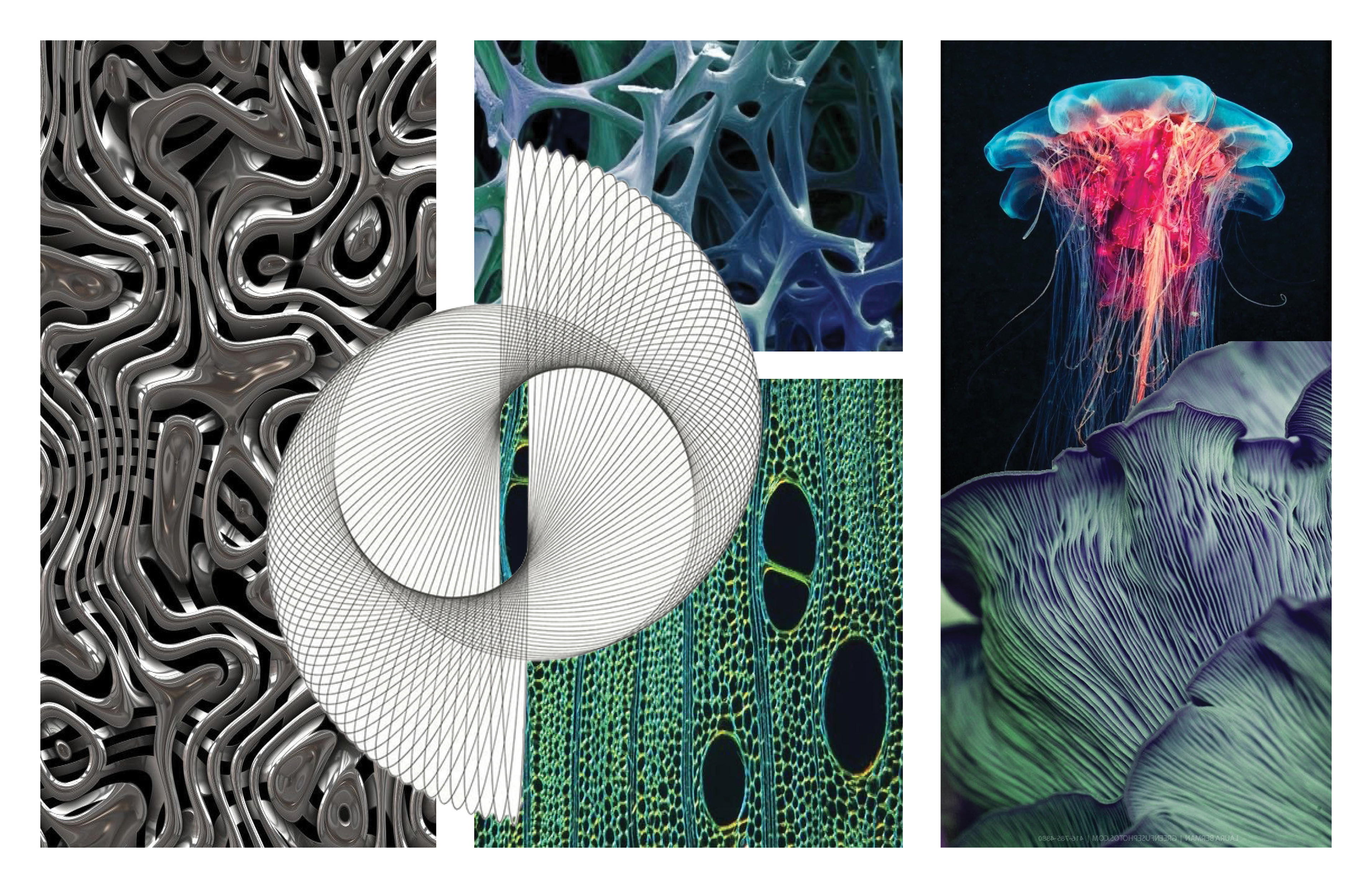 VISUAL INSPIRATION BOARD