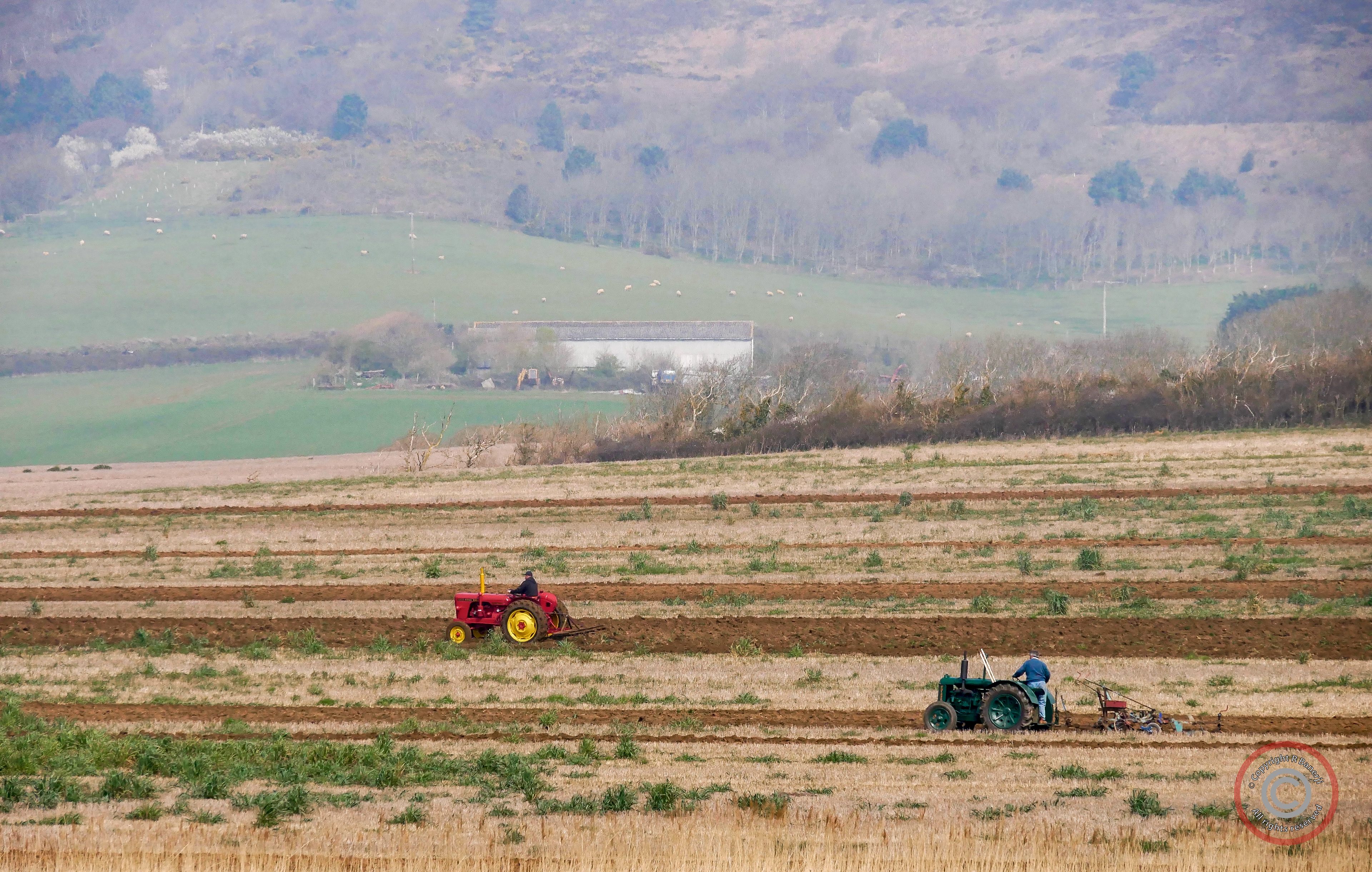 Tractors in the mist, Isle of Wight