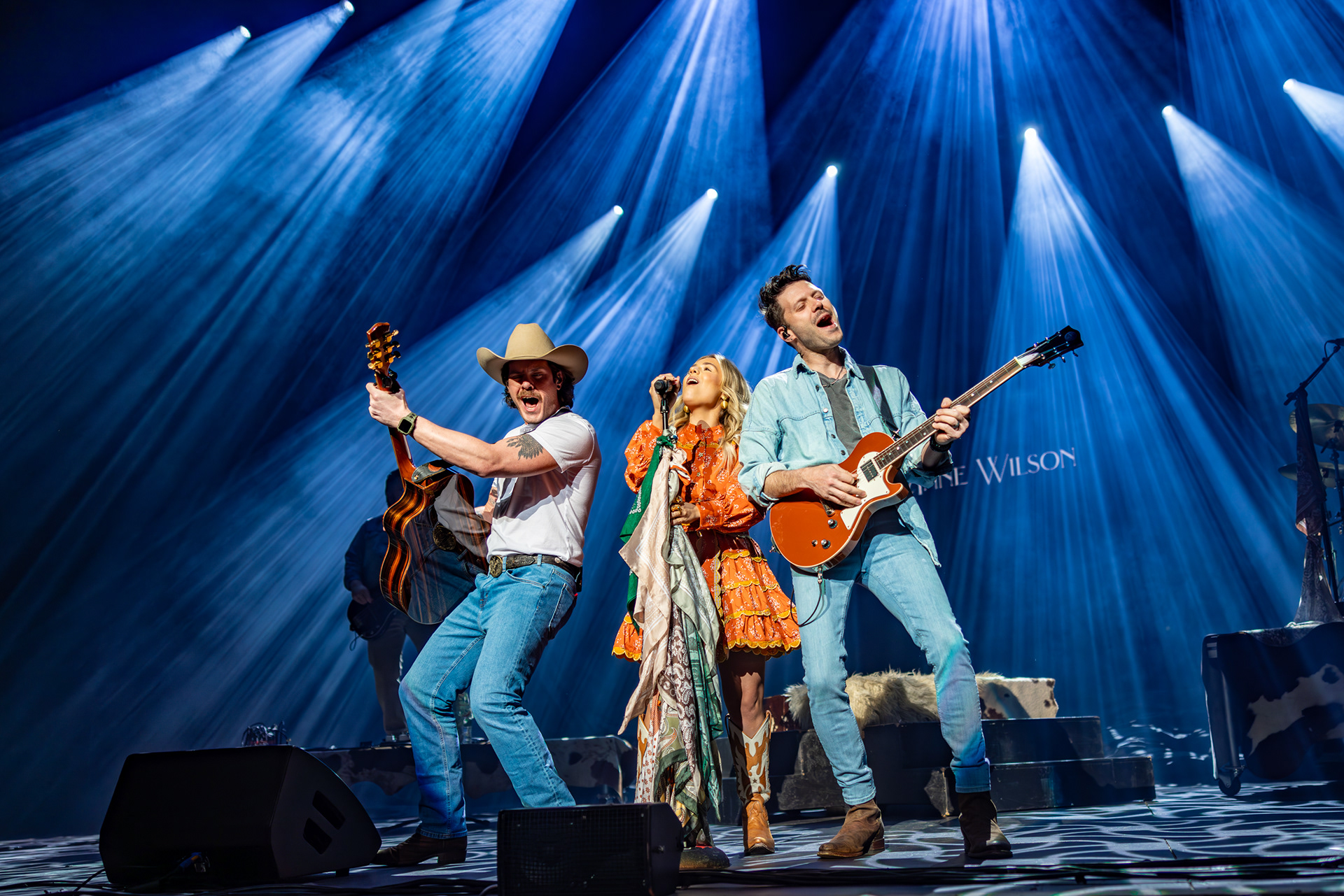 Ann Wilson - Proctors Theatre 2024