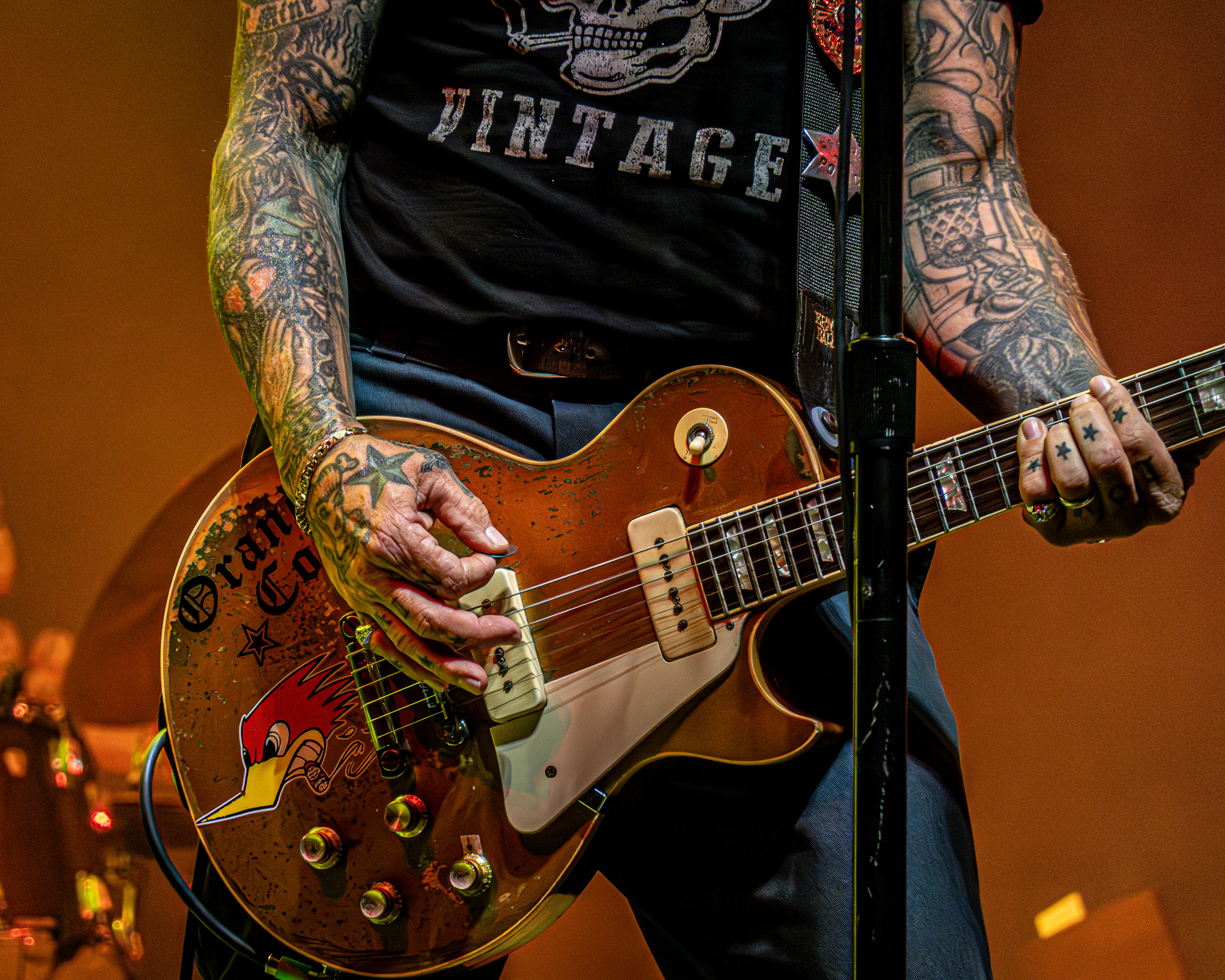 Social Distortion - MGM at Fenway 2024