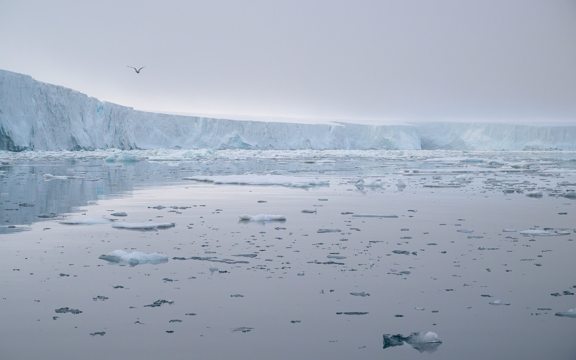 Bråsvellbreen Glacier