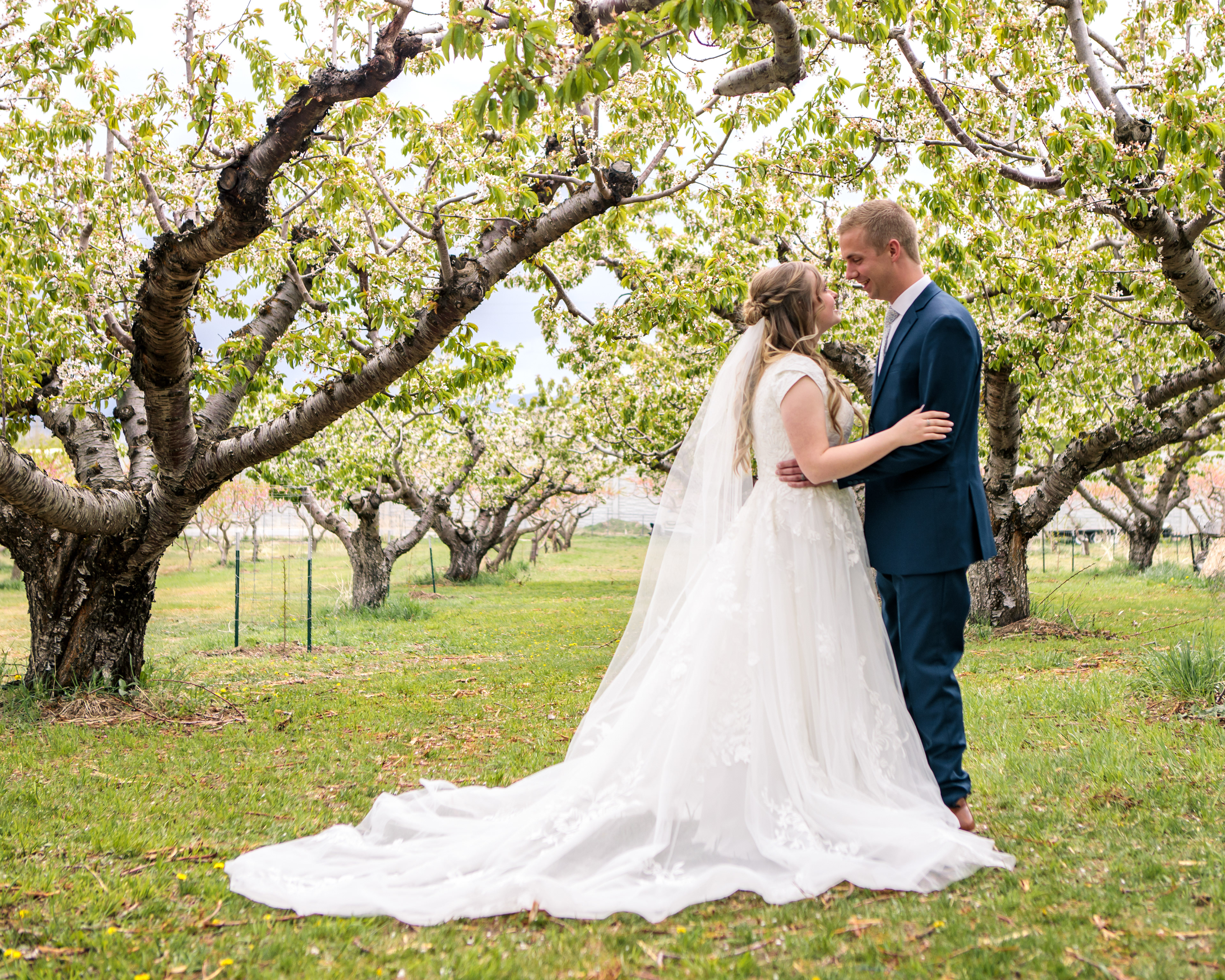 Manning Orchards Fruit heights
