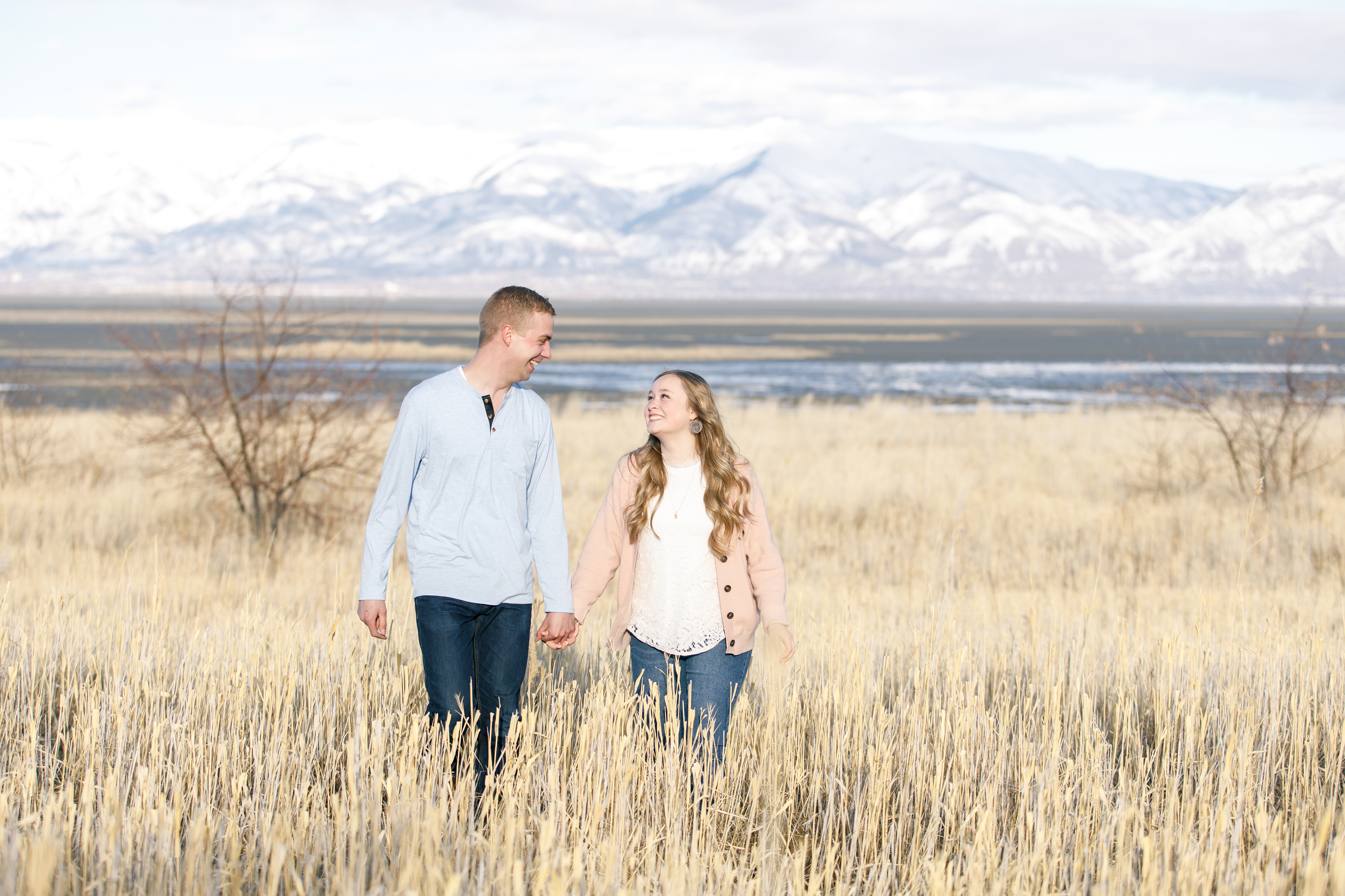 Antelope Island entrance fee