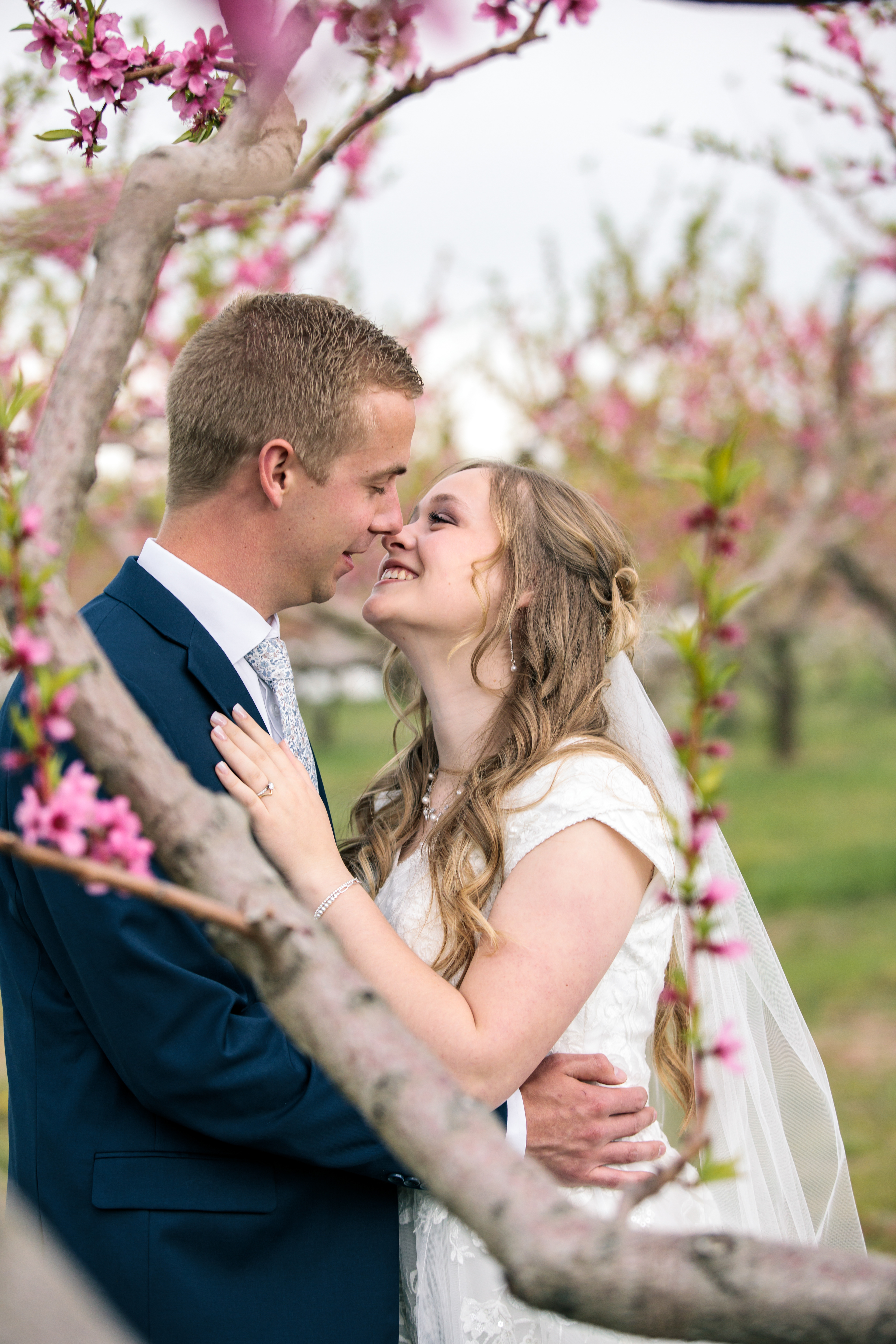 Manning Orchard