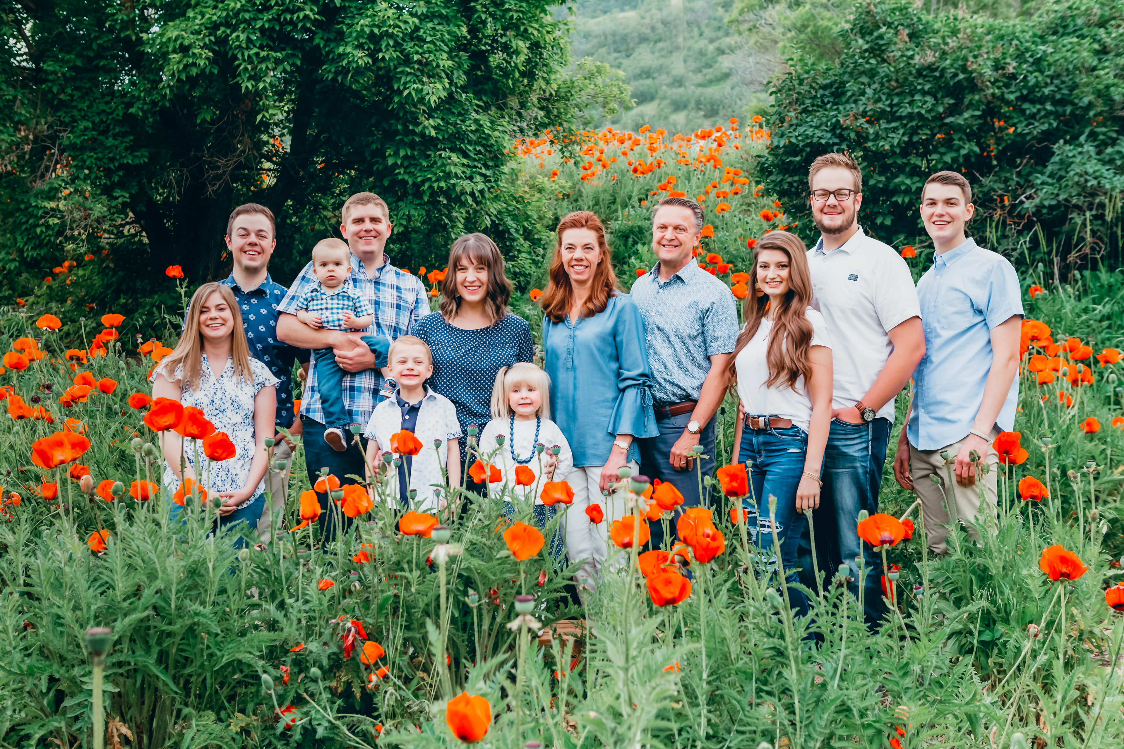 Mantua Poppies Mid-Late June *note that this location is very packed with people and limited parking