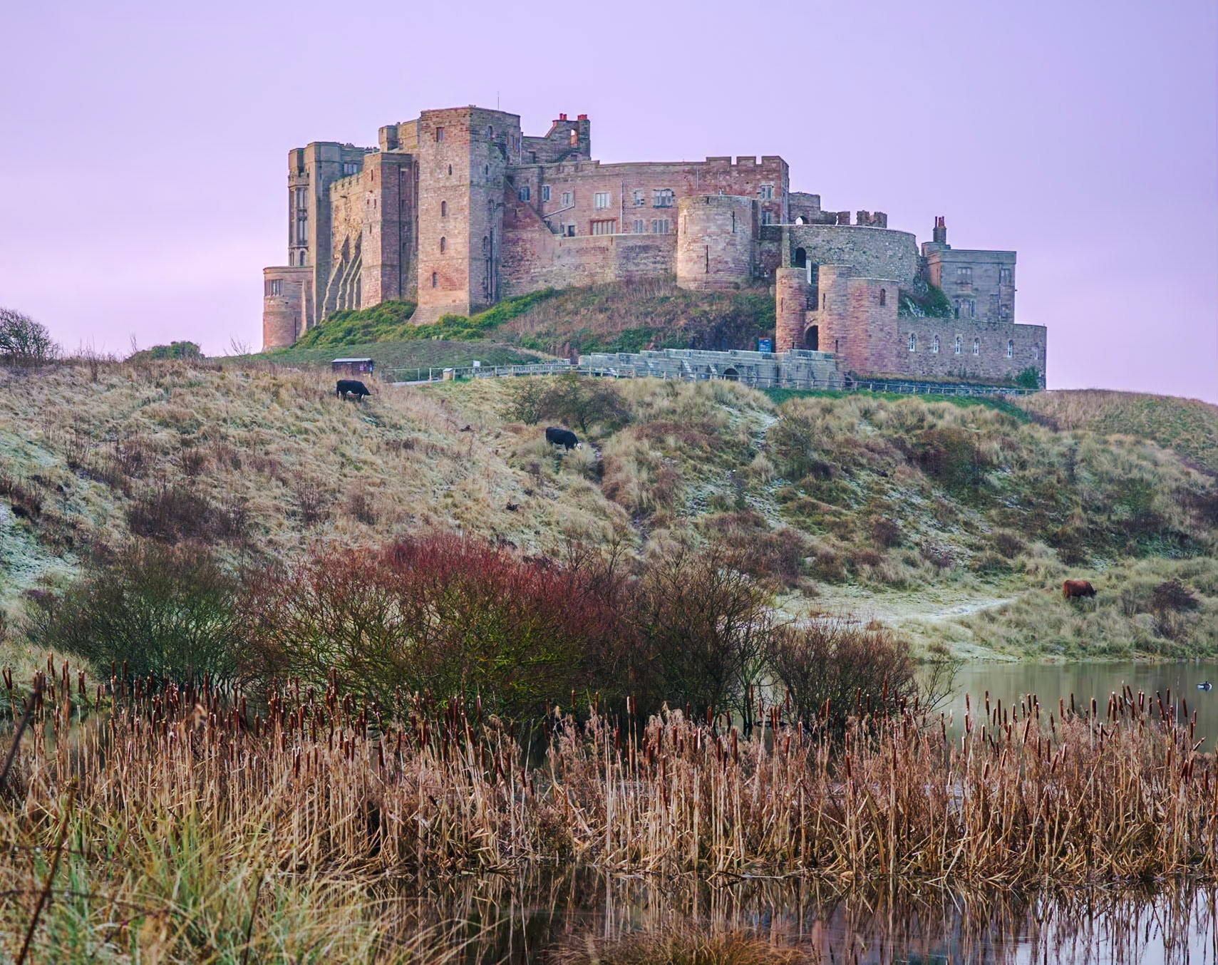 Bamburgh Castle