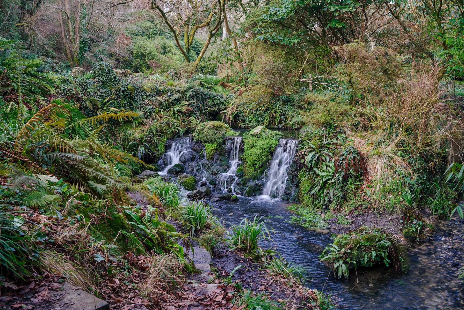 Minterne House, Dorset
