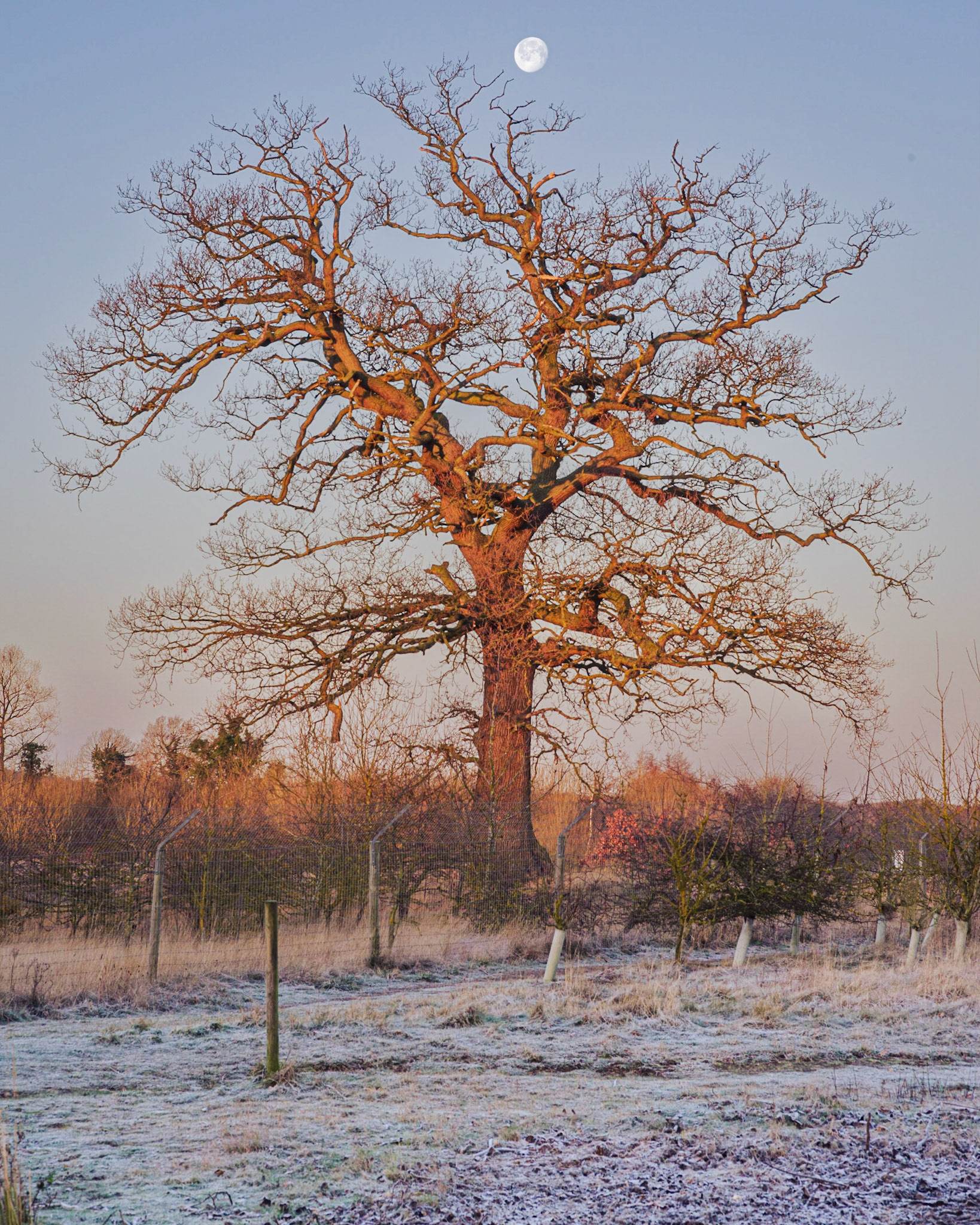Sunrise before Moonset at Broom, Biggleswade